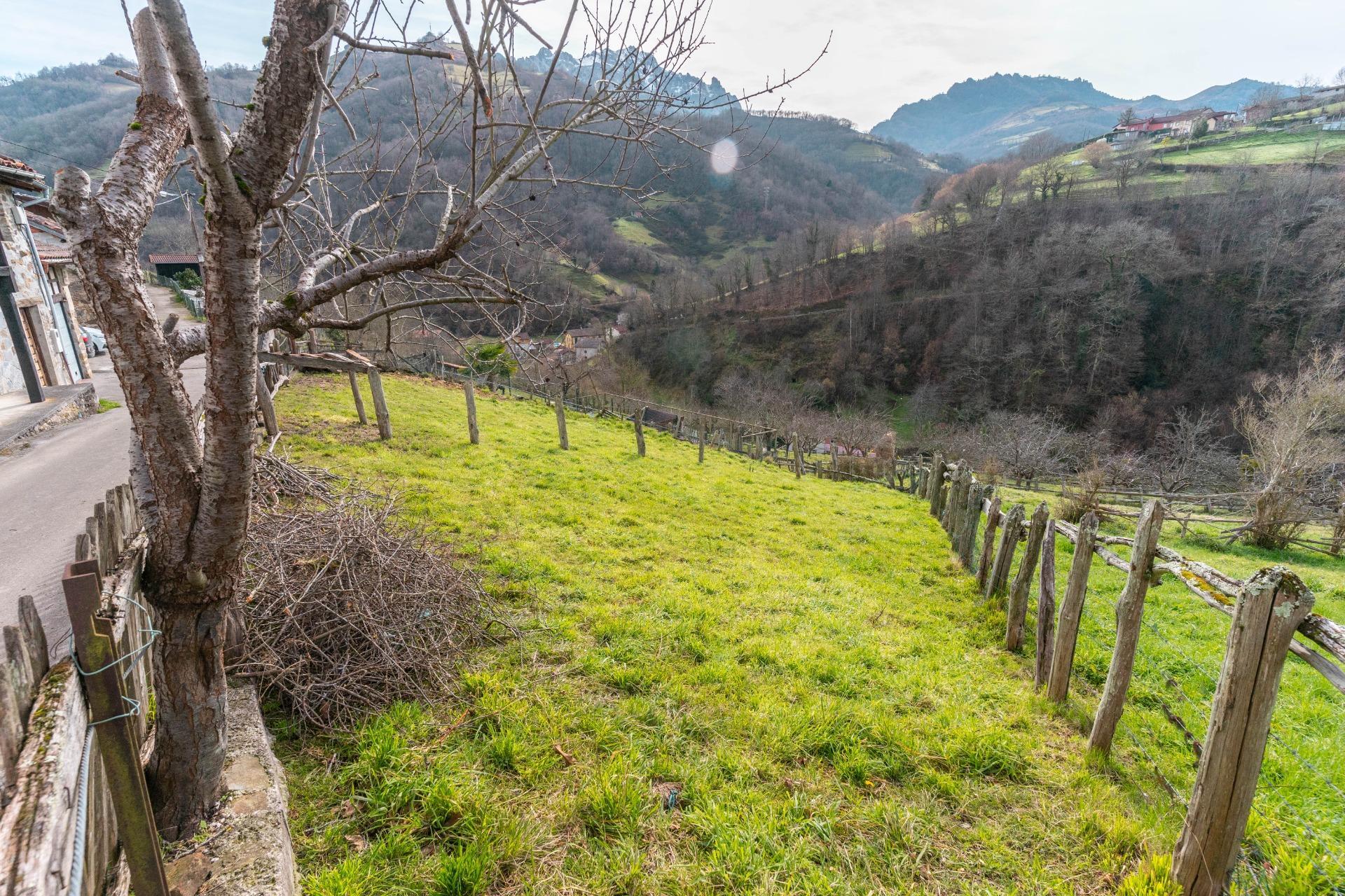 Casas o chalets-Venta-Laviana-1652868-Foto-32