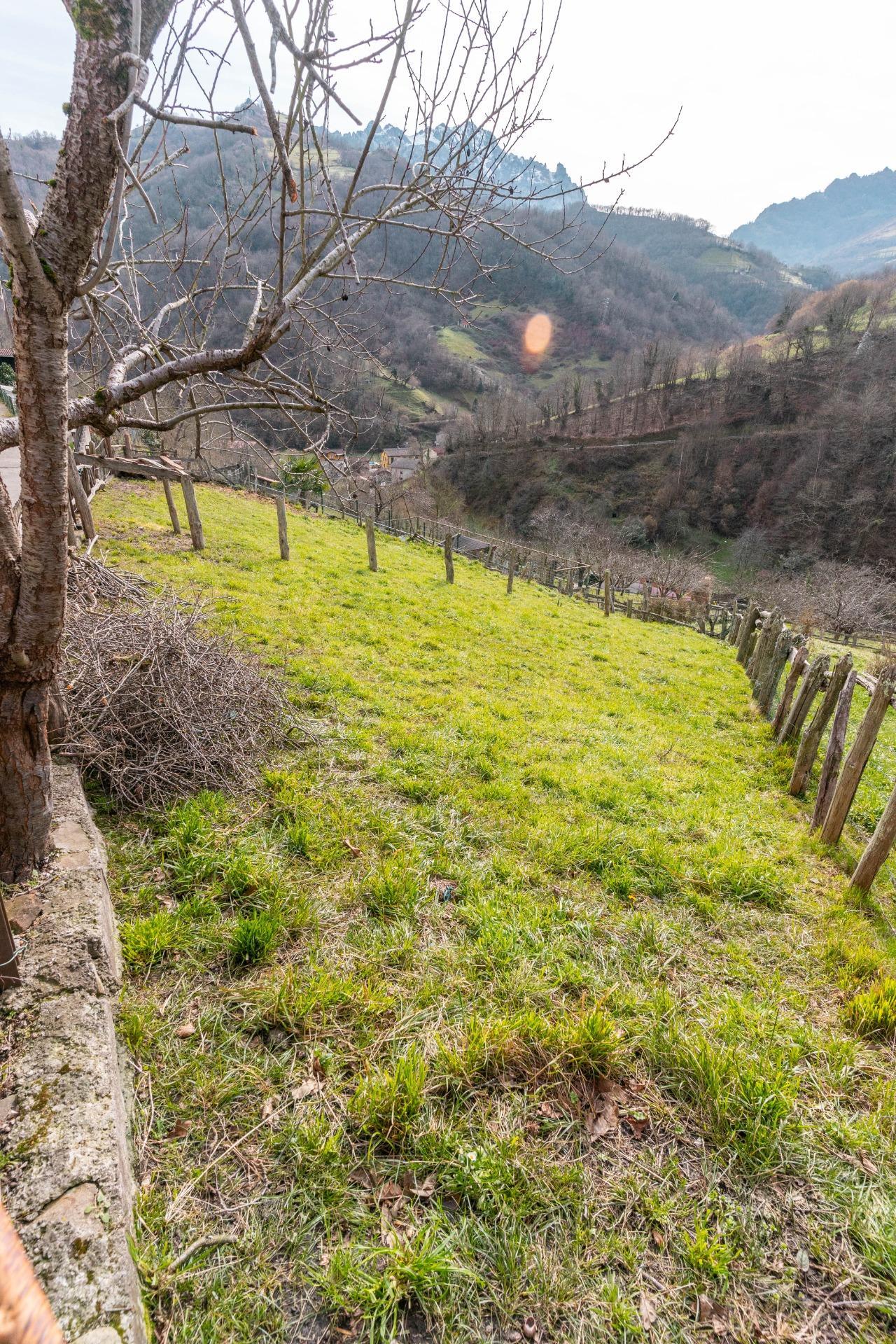 Casas o chalets-Venta-Laviana-1652868-Foto-33