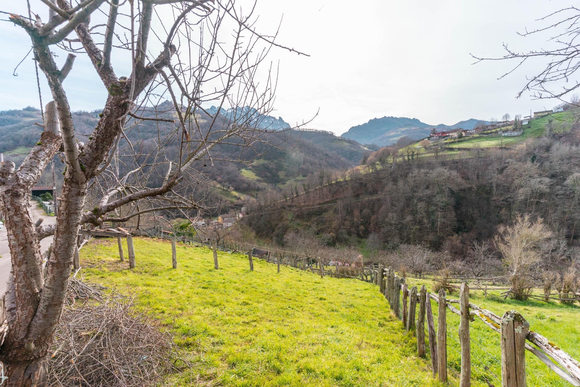 Casas o chalets-Venta-Laviana-1652868-Foto-34