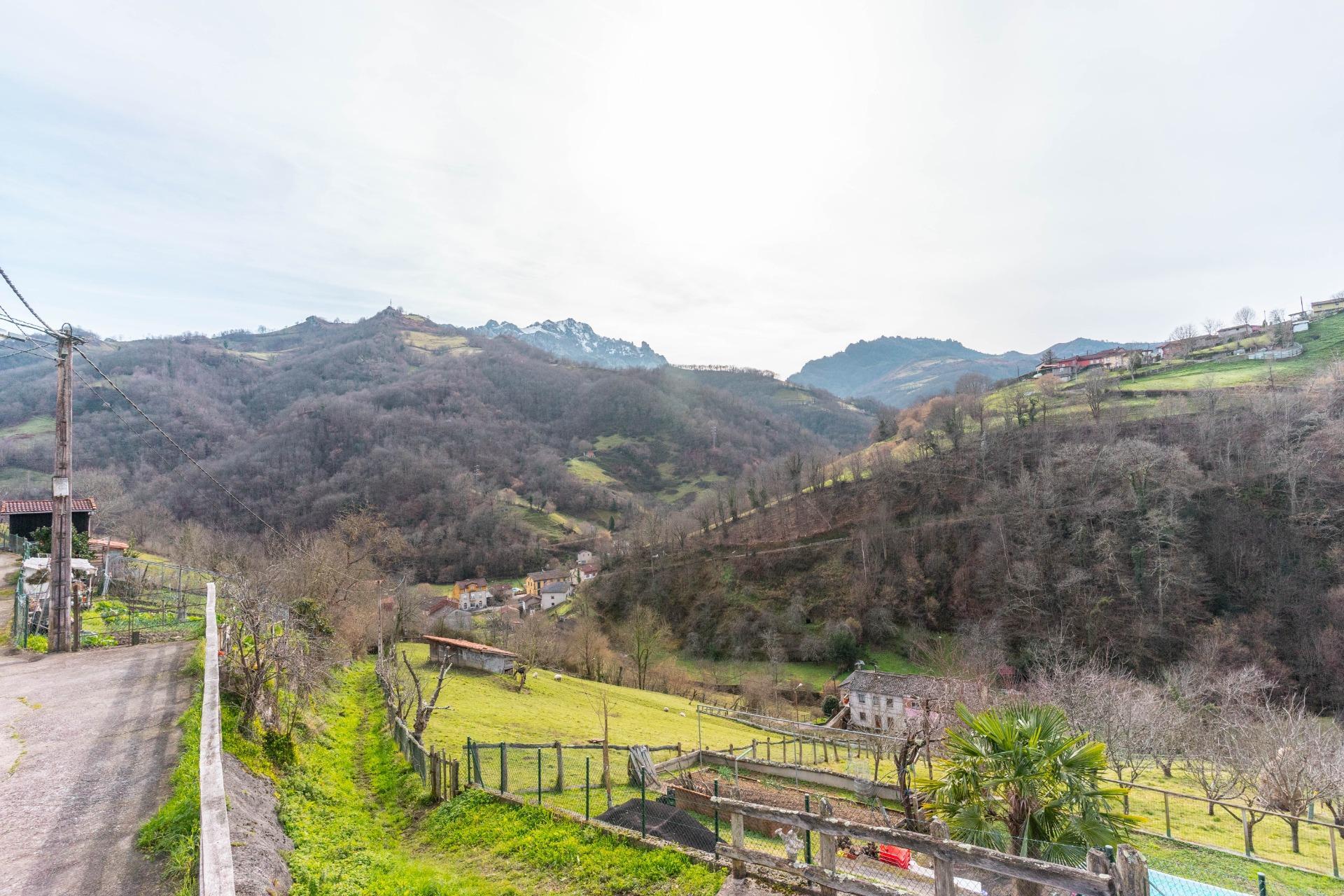 Casas o chalets-Venta-Laviana-1652868-Foto-37