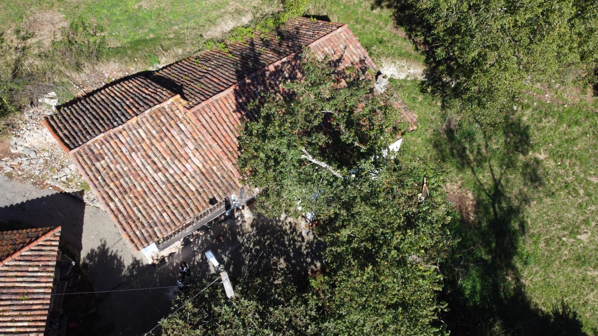 Casas o chalets-Venta-Cabranes-1941510-Foto-28