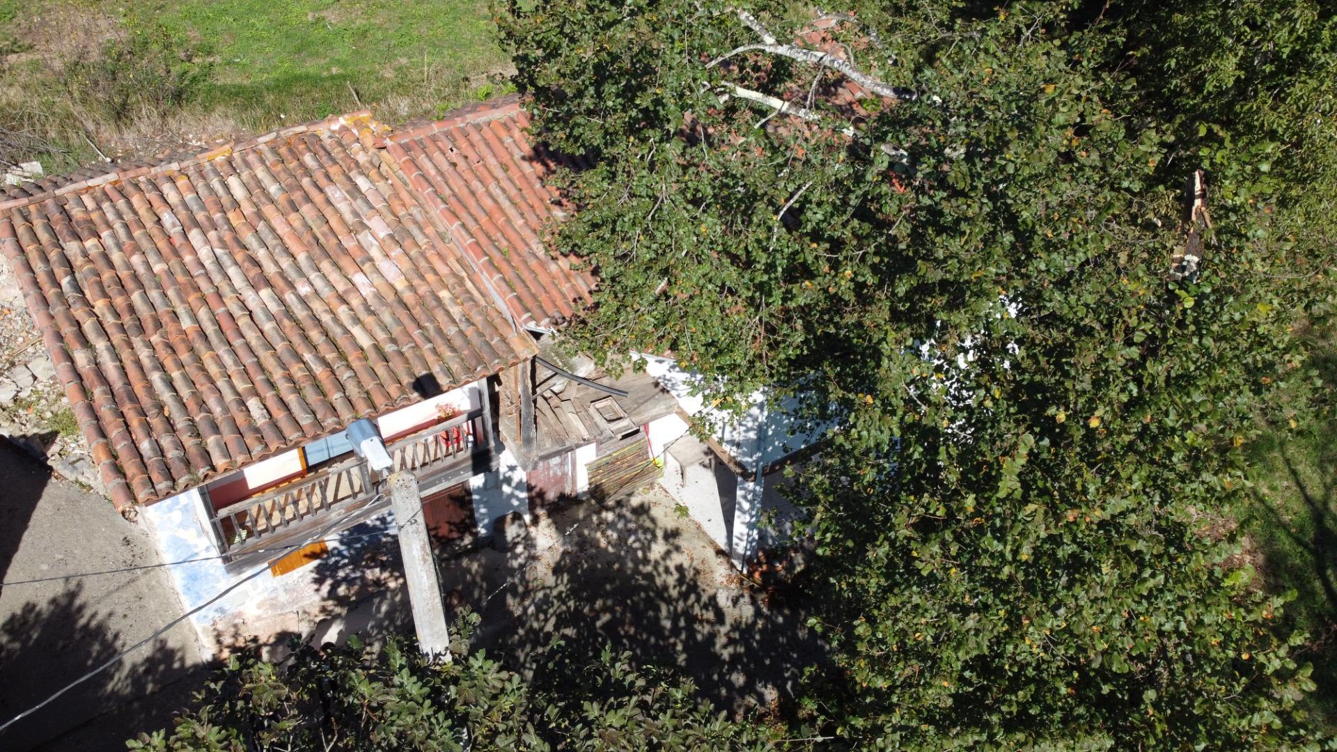 Casas o chalets-Venta-Cabranes-1941510-Foto-27