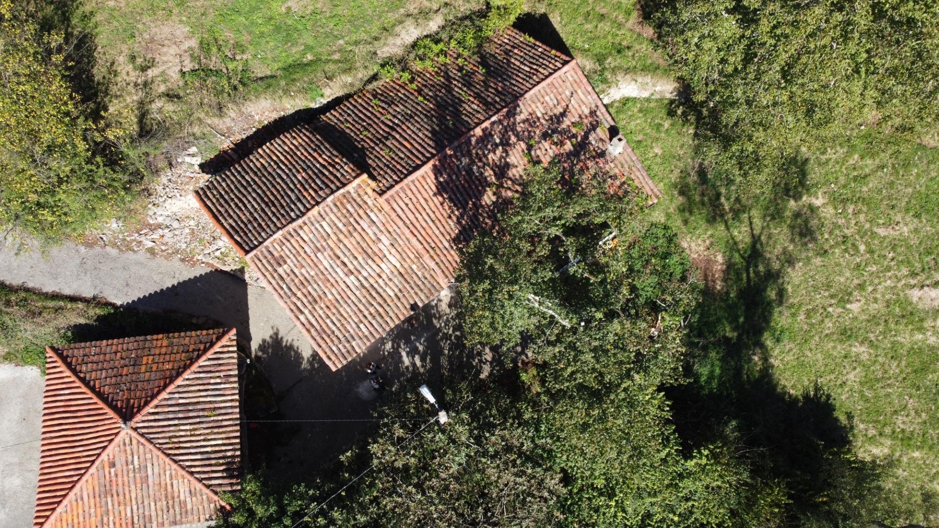 Casas o chalets-Venta-Cabranes-1941510-Foto-29