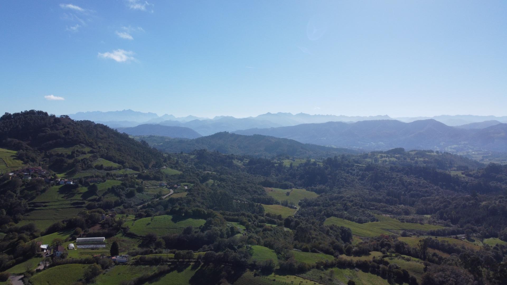 Casas o chalets-Venta-Cabranes-1941510-Foto-35