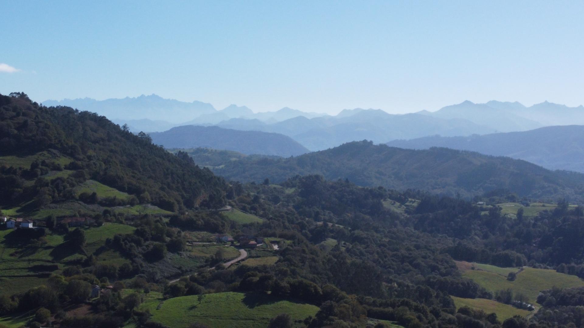 Casas o chalets-Venta-Cabranes-1941510-Foto-34