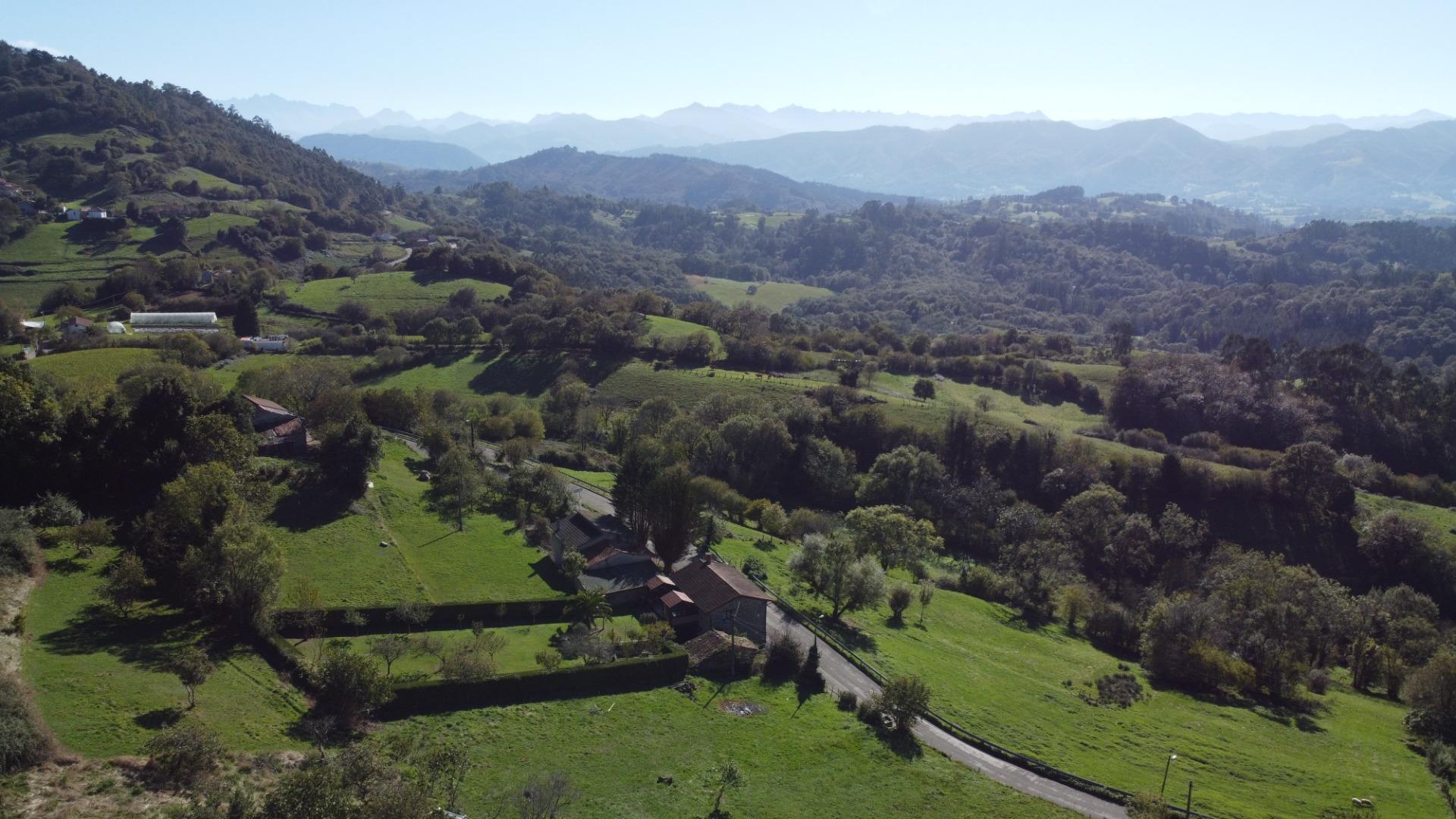 Casas o chalets-Venta-Cabranes-1941510-Foto-33