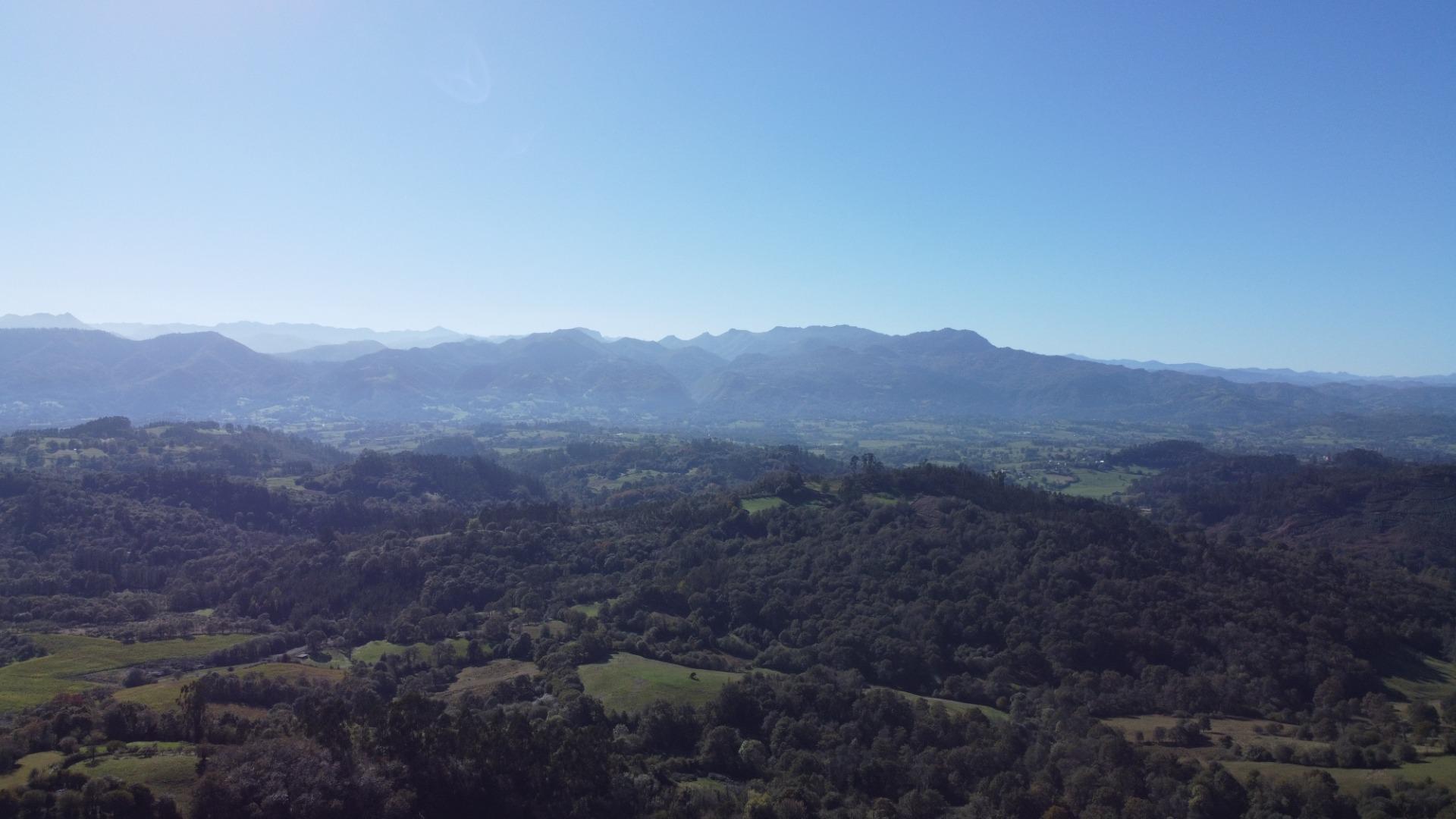 Casas o chalets-Venta-Cabranes-1941510-Foto-37