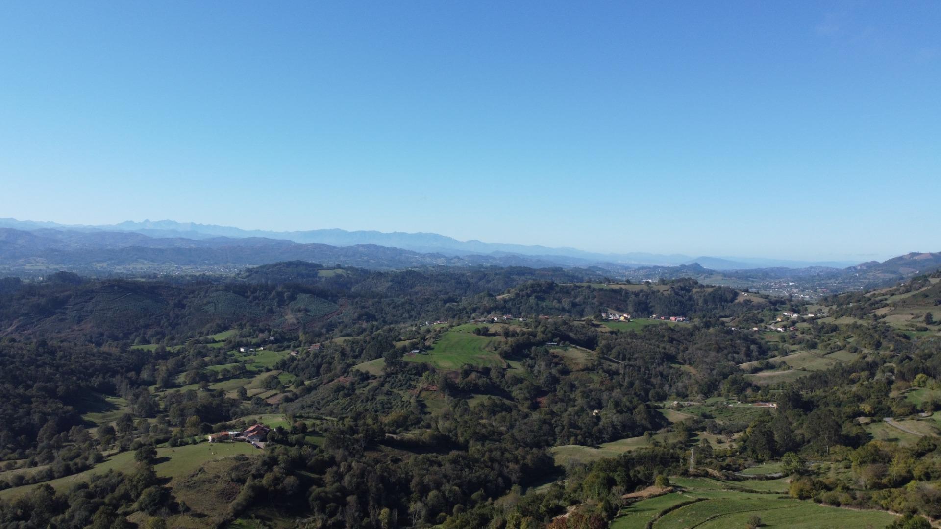 Casas o chalets-Venta-Cabranes-1941510-Foto-36