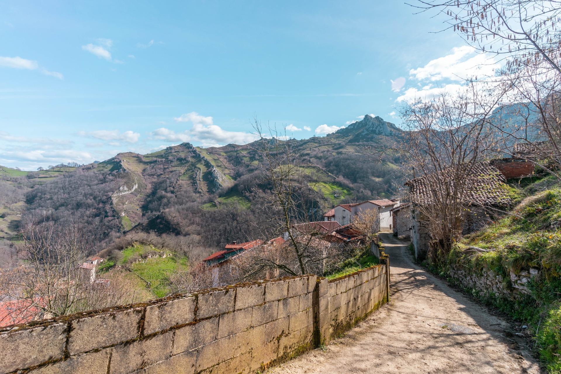 Casas o chalets-Venta-Laviana-1658789-Foto-23