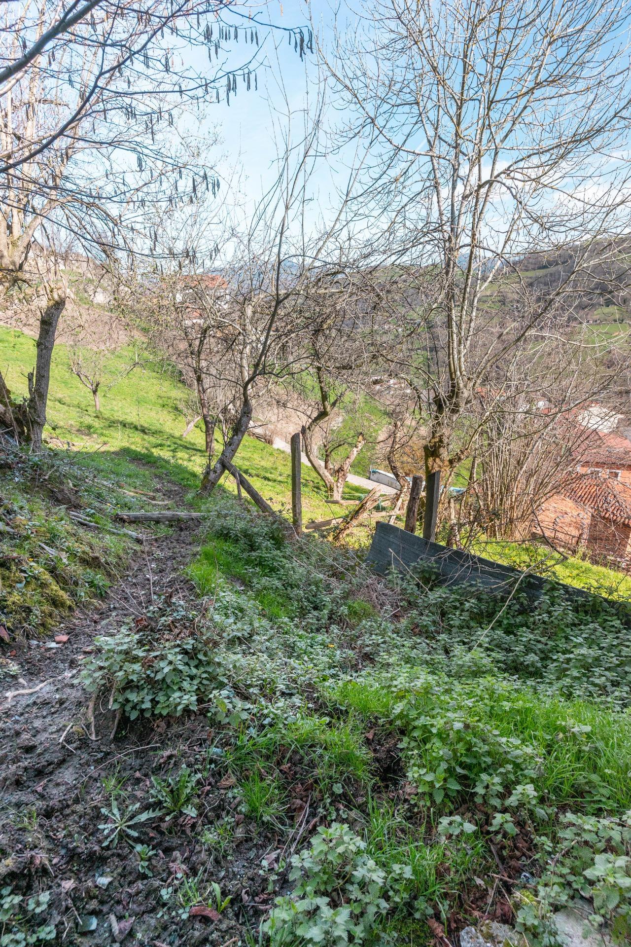 Casas o chalets-Venta-Laviana-1658789-Foto-22