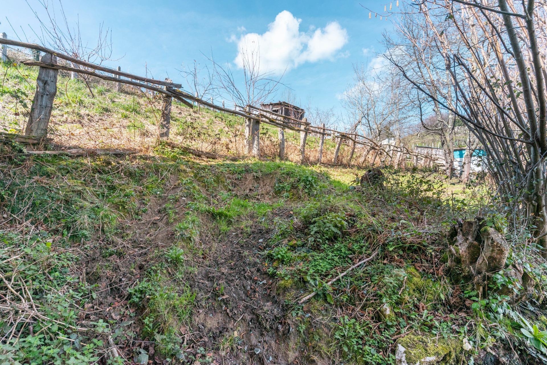 Casas o chalets-Venta-Laviana-1658789-Foto-24