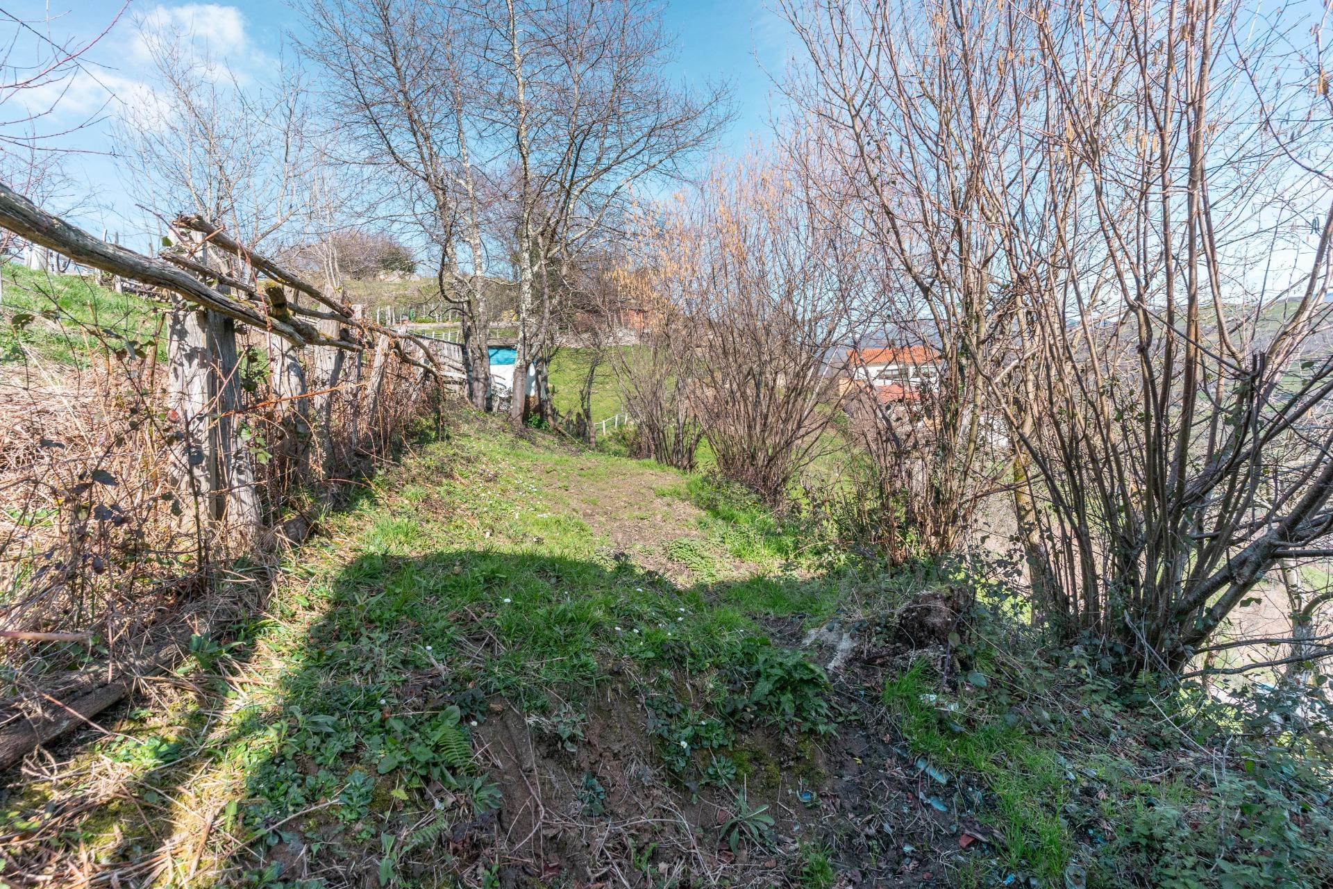 Casas o chalets-Venta-Laviana-1658789-Foto-25