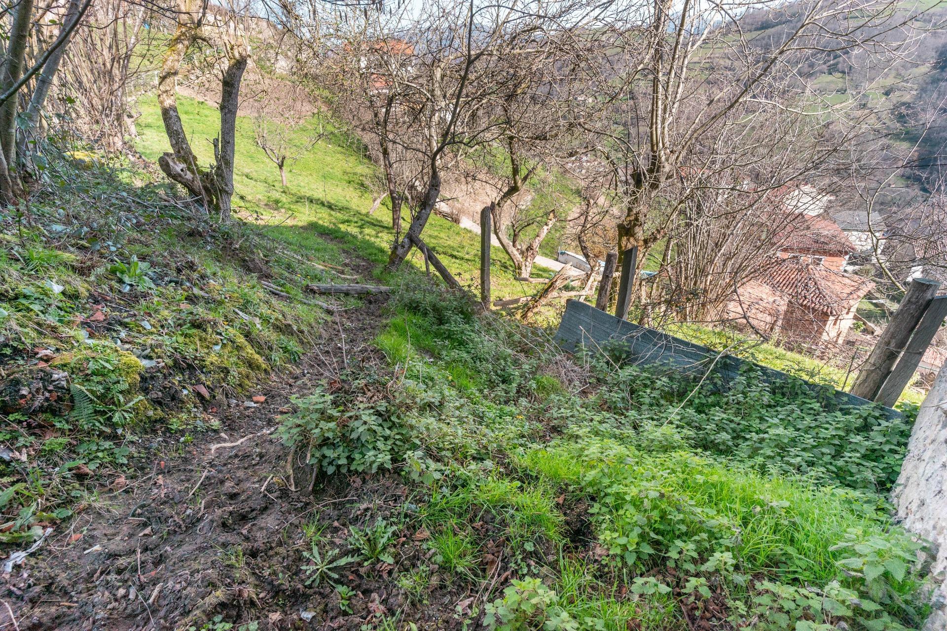 Casas o chalets-Venta-Laviana-1658789-Foto-21