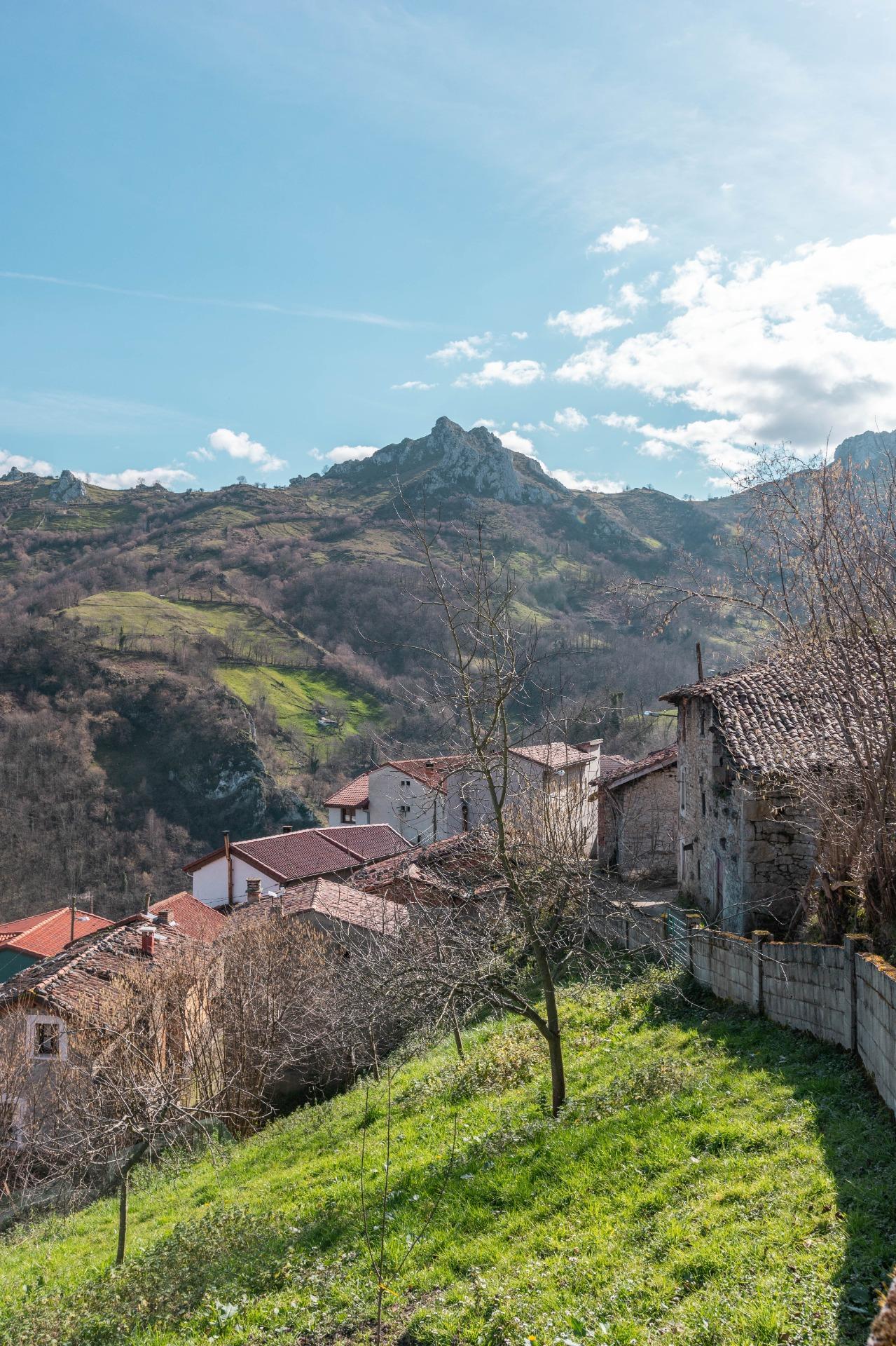 Casas o chalets-Venta-Laviana-1658789-Foto-30