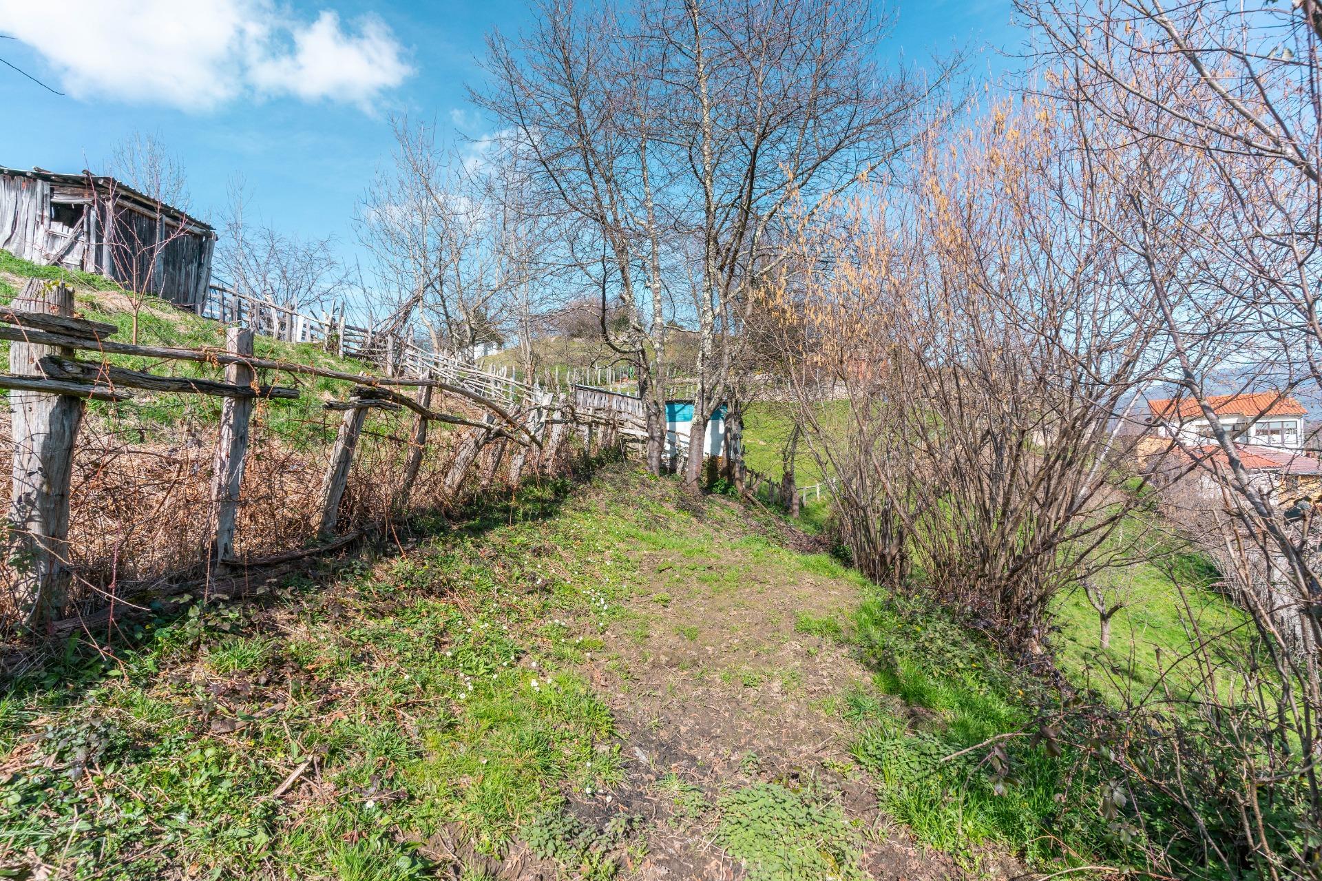 Casas o chalets-Venta-Laviana-1658789-Foto-26