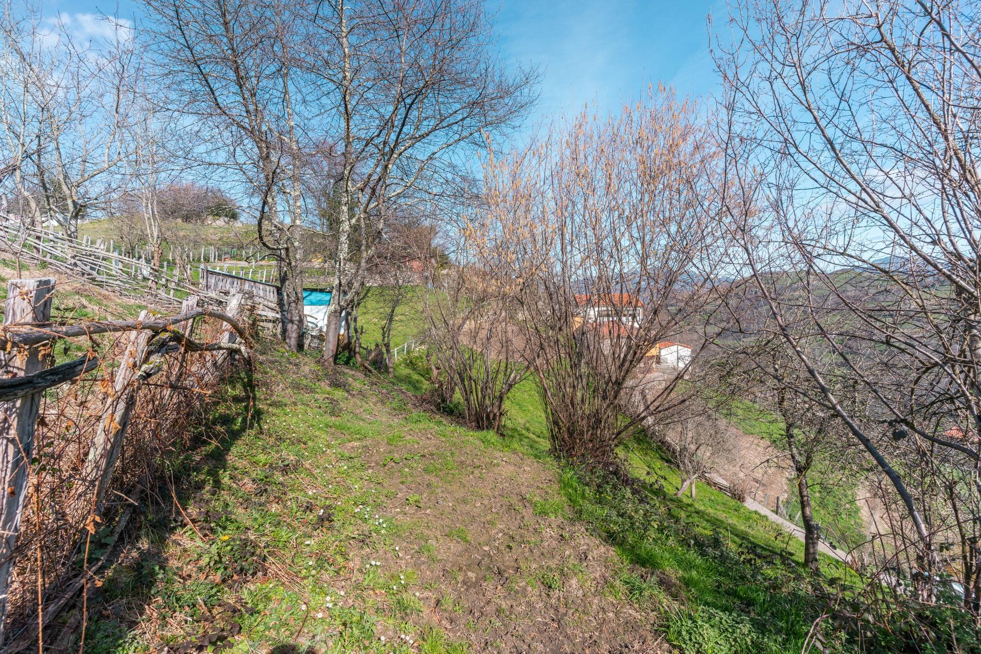 Casas o chalets-Venta-Laviana-1658789-Foto-27