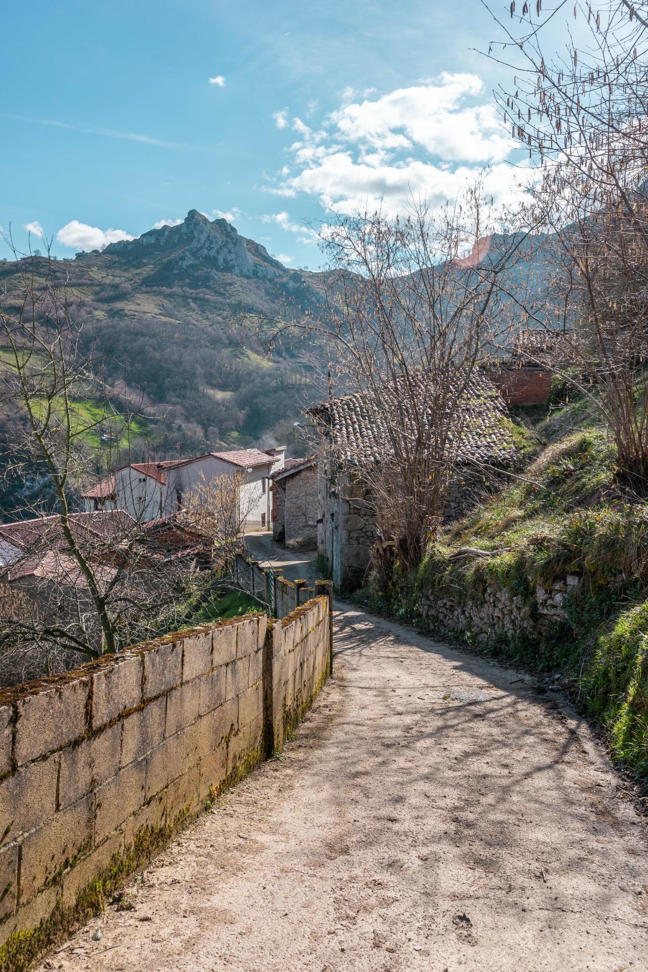 Casas o chalets-Venta-Laviana-1658789-Foto-31