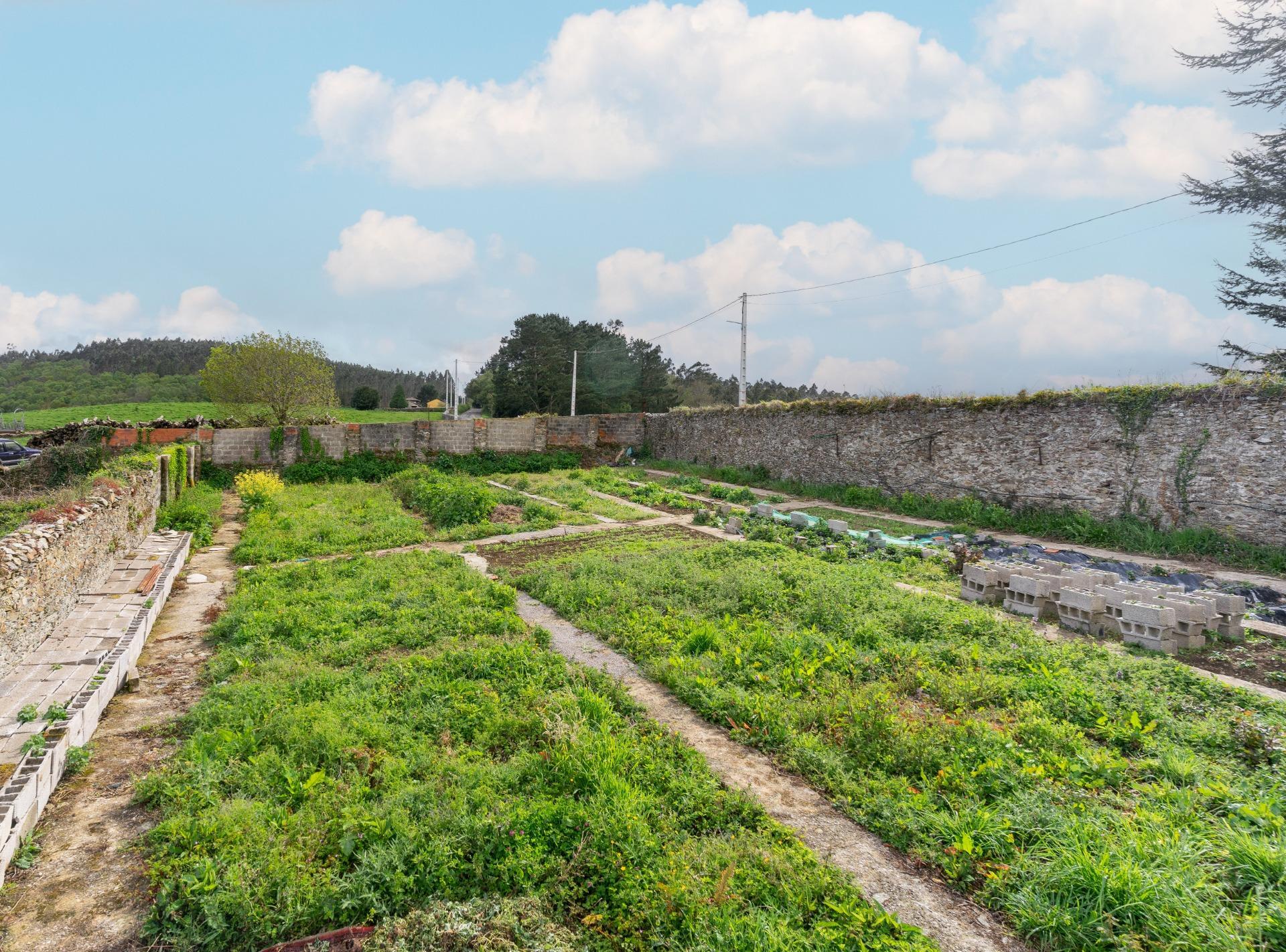 Casas o chalets-Venta-Pravia-1718170-Foto-16