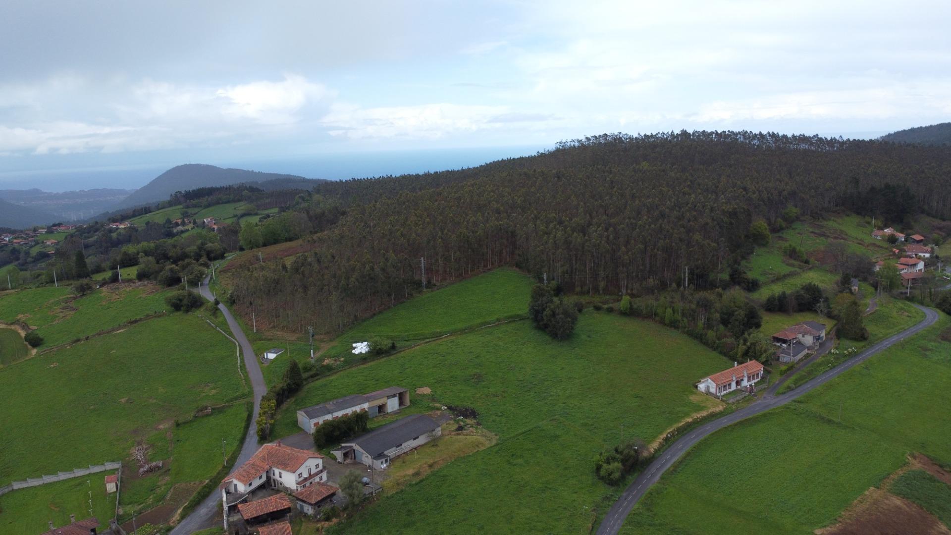 Casas o chalets-Venta-Pravia-1718170-Foto-69