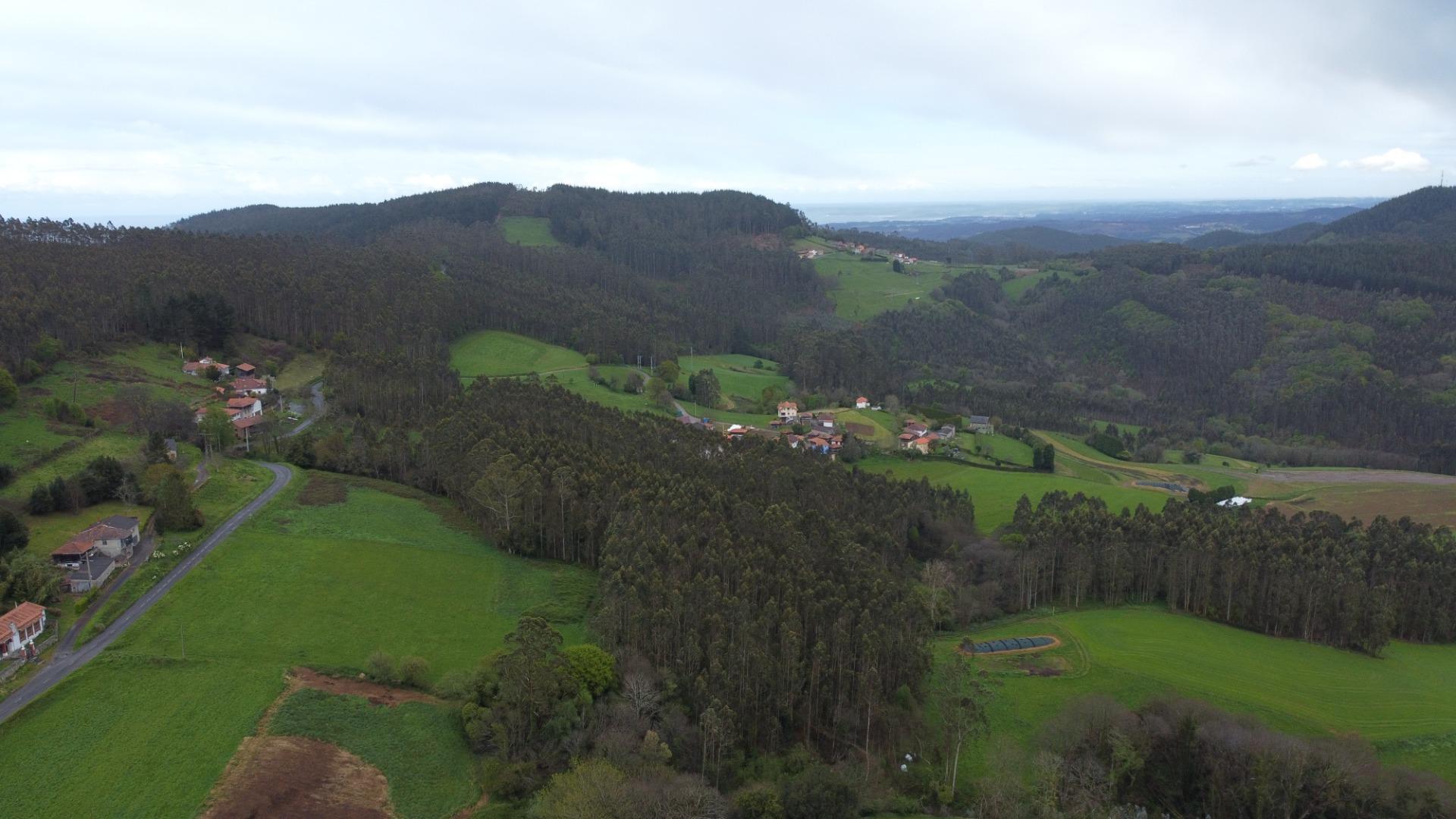 Casas o chalets-Venta-Pravia-1718170-Foto-70