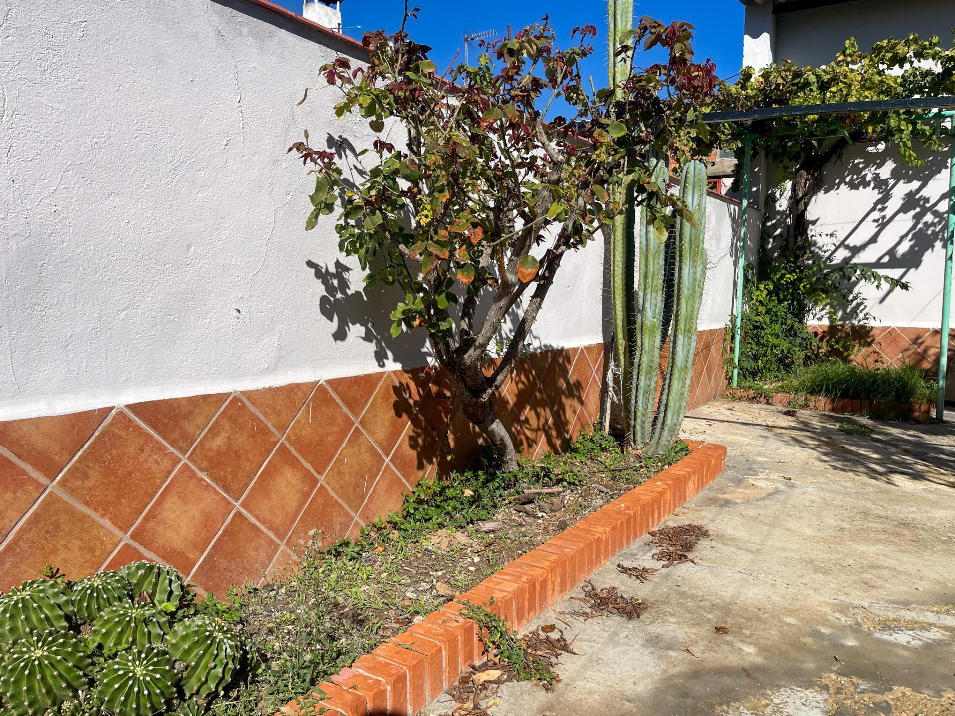 Pisos-Venta-Requena-1942879-Foto-54