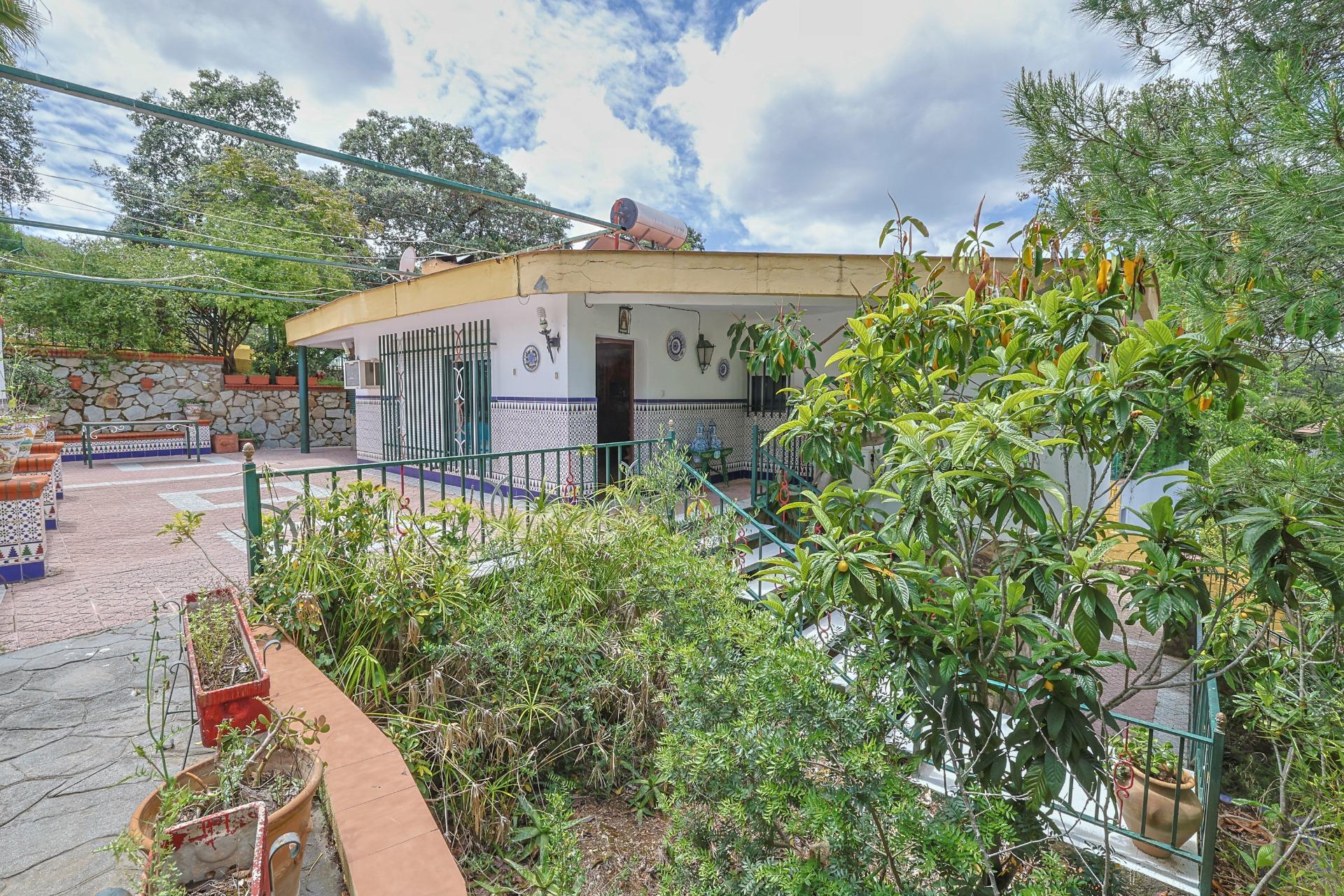 Casas o chalets-Venta-Guillena-1727057-Foto-2