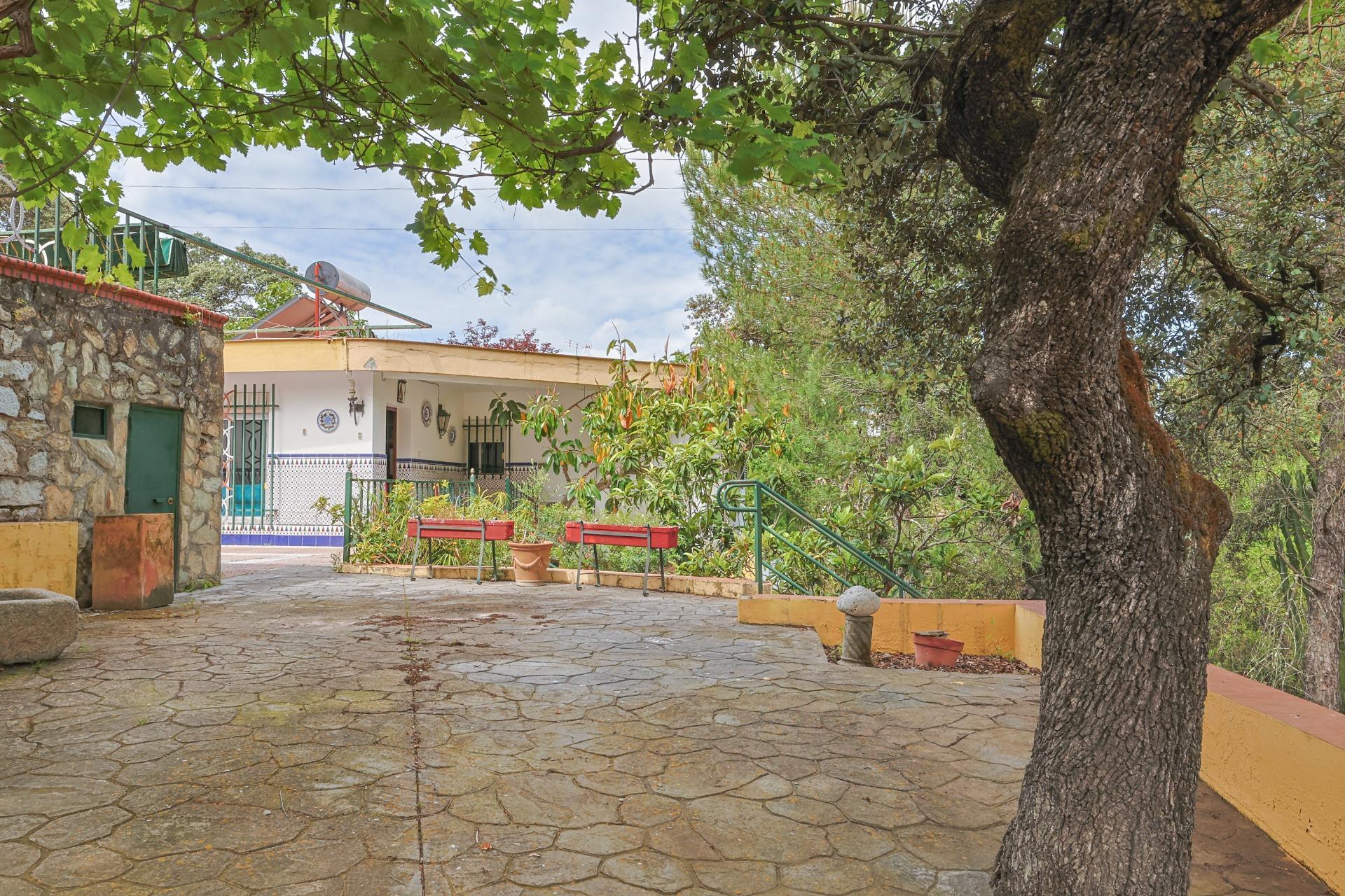 Casas o chalets-Venta-1727057