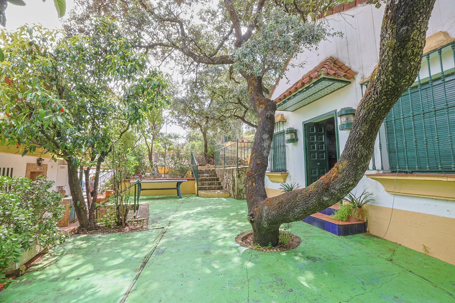 Casas o chalets-Venta-Guillena-1727057-Foto-16