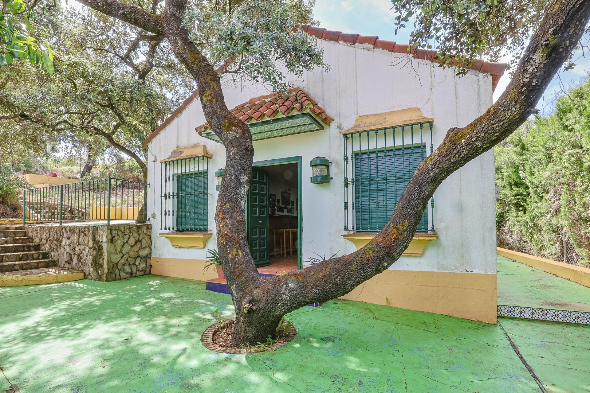 Casas o chalets-Venta-Guillena-1727057-Foto-15