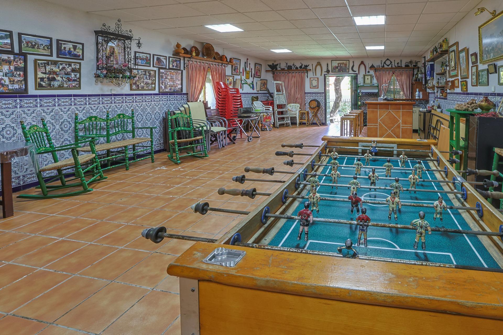 Casas o chalets-Venta-Guillena-1727057-Foto-22