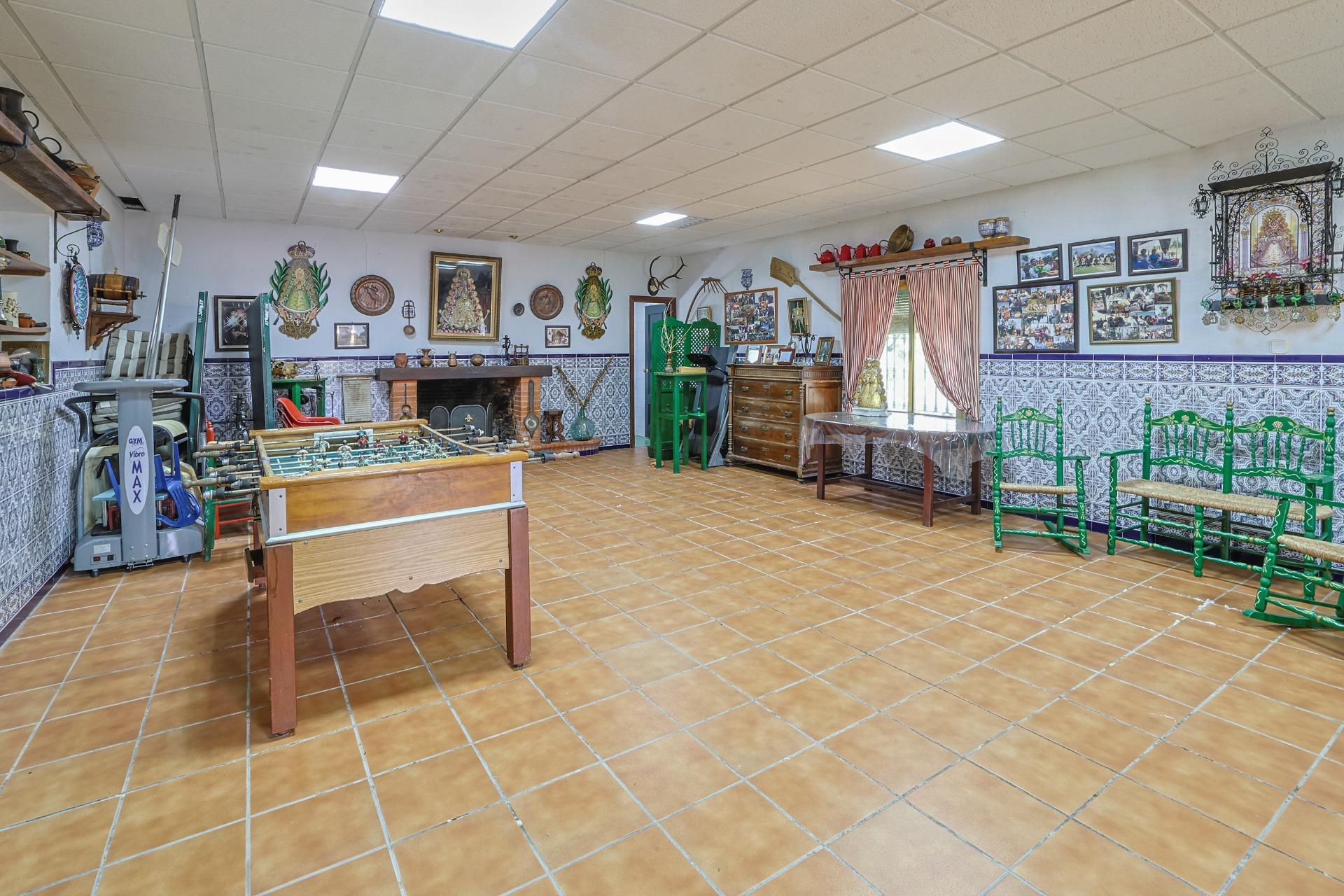 Casas o chalets-Venta-Guillena-1727057-Foto-21