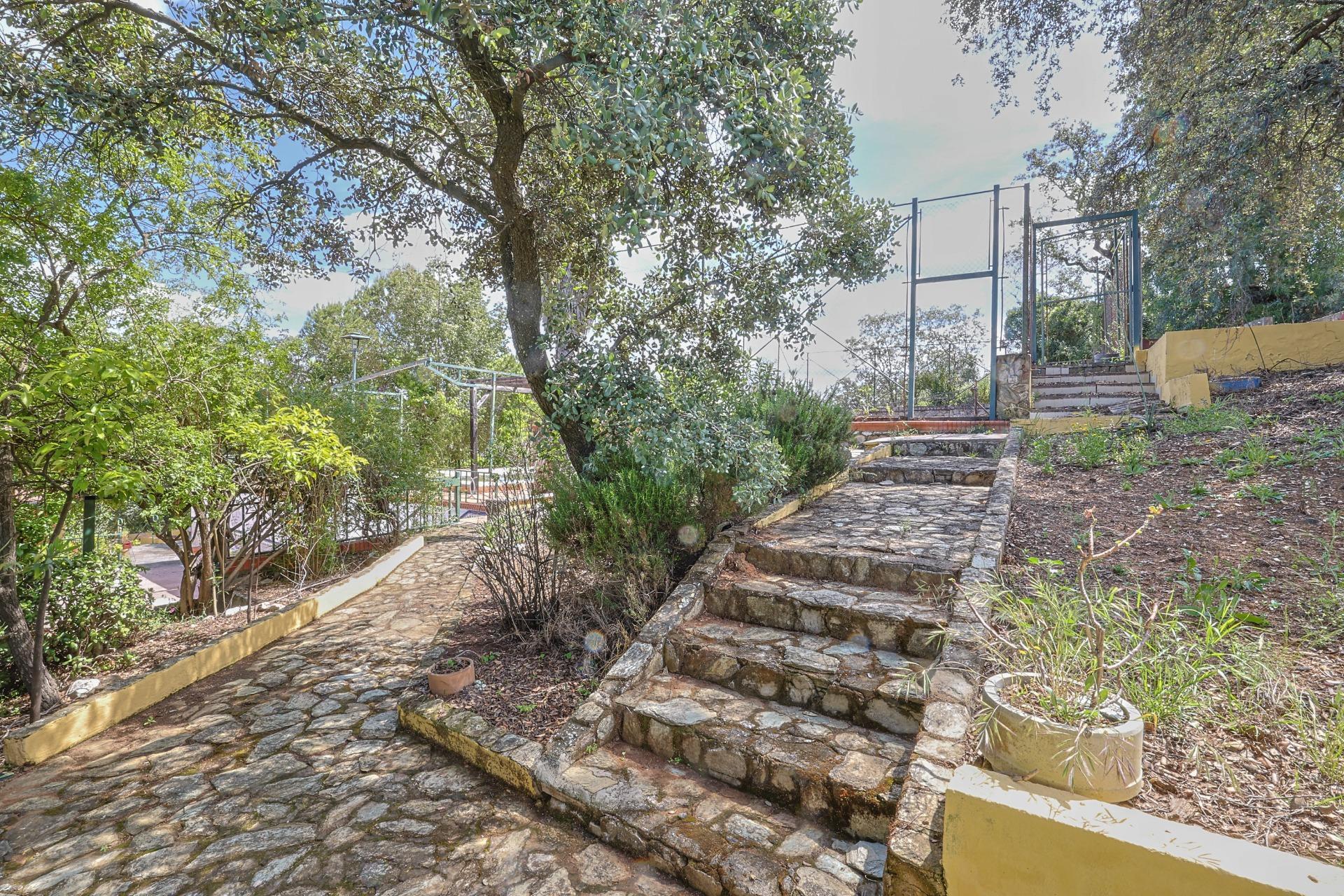 Casas o chalets-Venta-Guillena-1727057-Foto-28