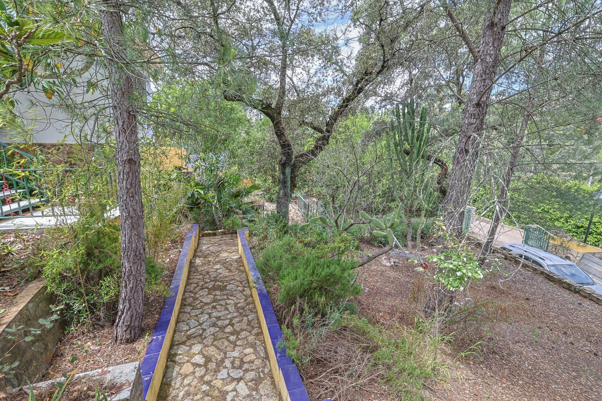 Casas o chalets-Venta-Guillena-1727057-Foto-73