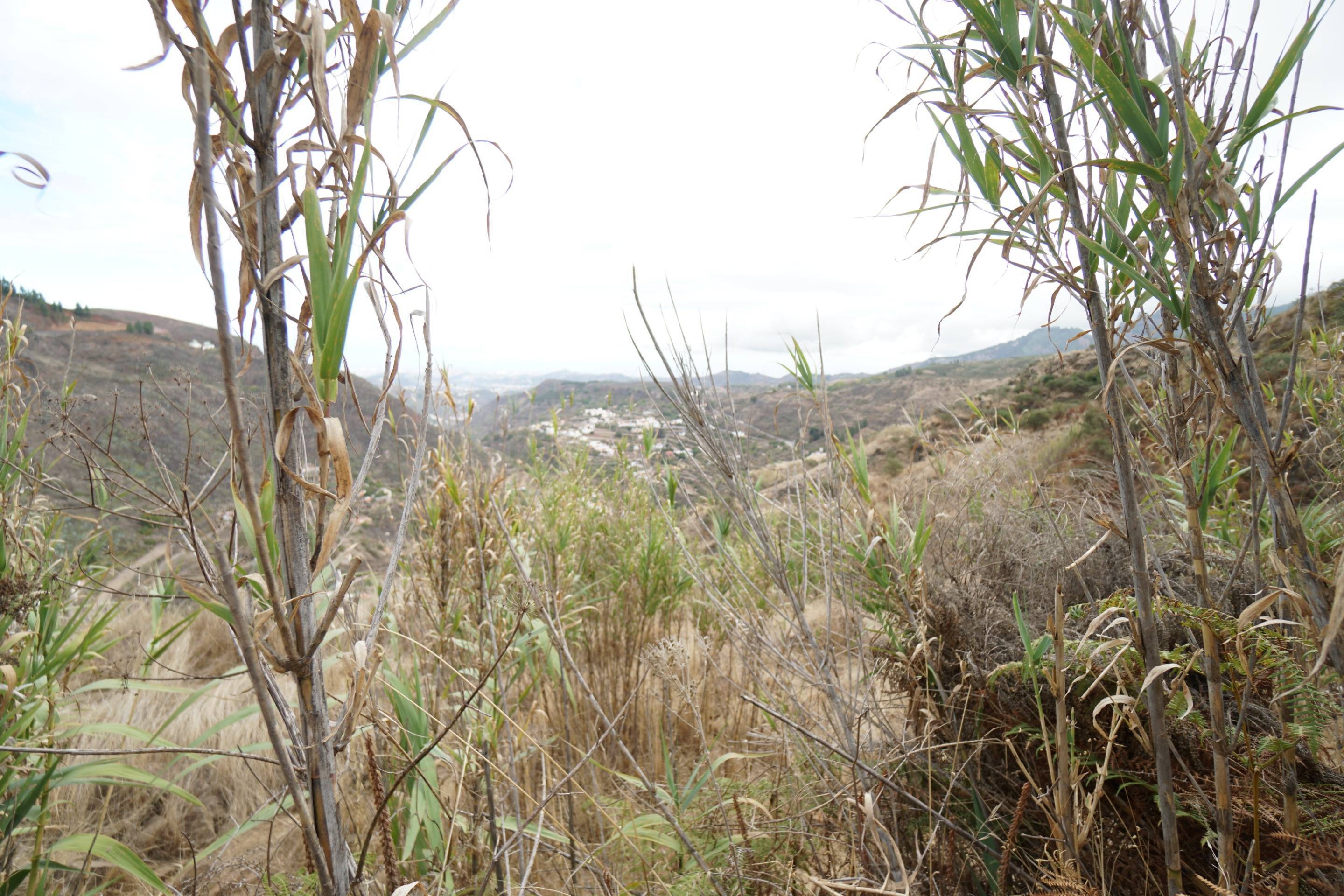 Pisos-Venta-Vega de San Mateo-1790799-Foto-45