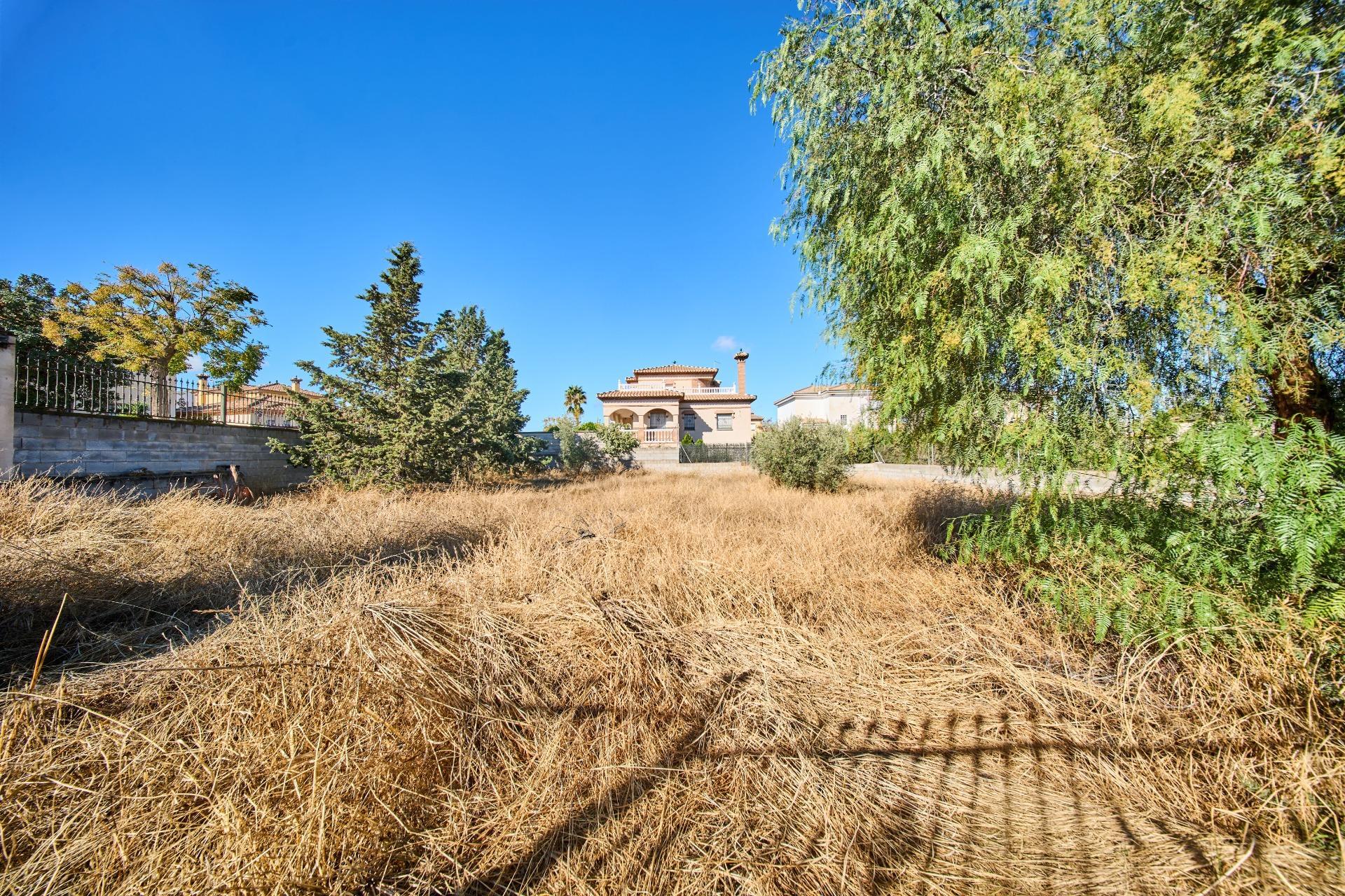 Fincas y solares-Venta-Vegas del Genil-1942903-Foto-2