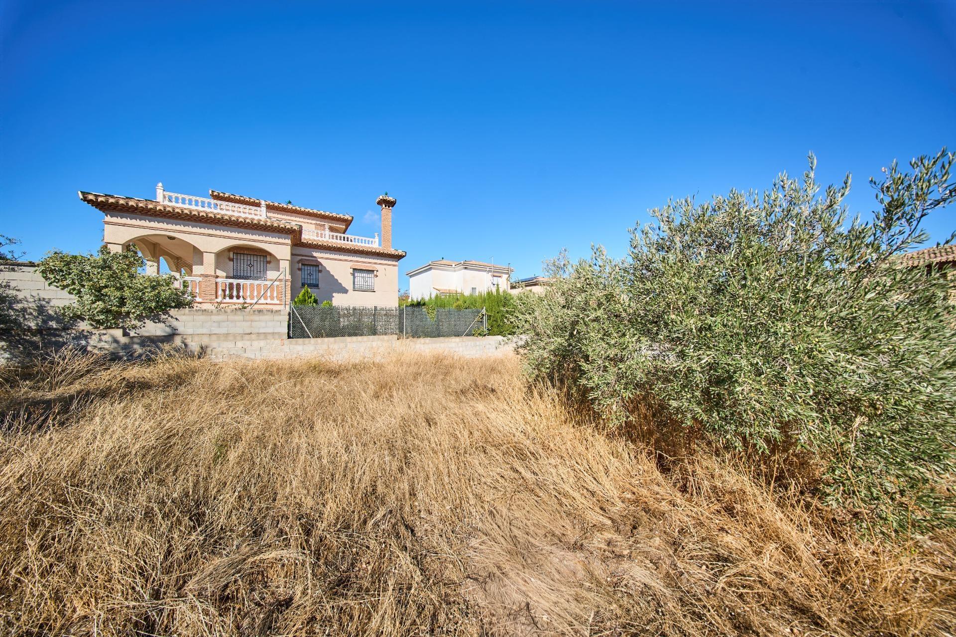 Fincas y solares-Venta-Vegas del Genil-1942903-Foto-8