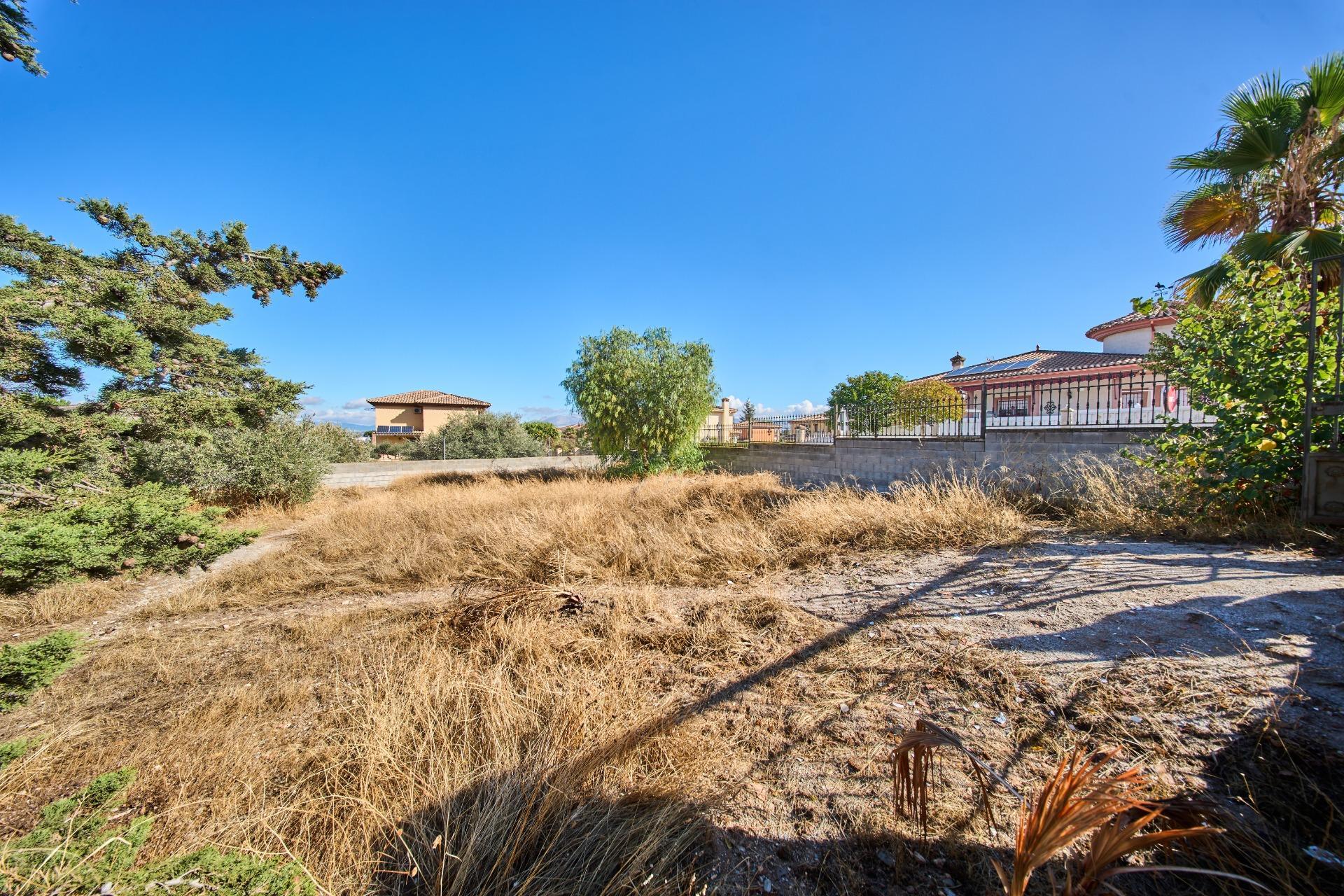 Fincas y solares-Venta-Vegas del Genil-1942906-Foto-2