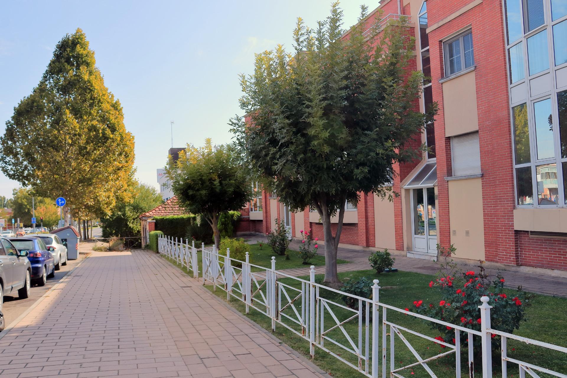 Pisos-Venta-Valladolid-1943182-Foto-2