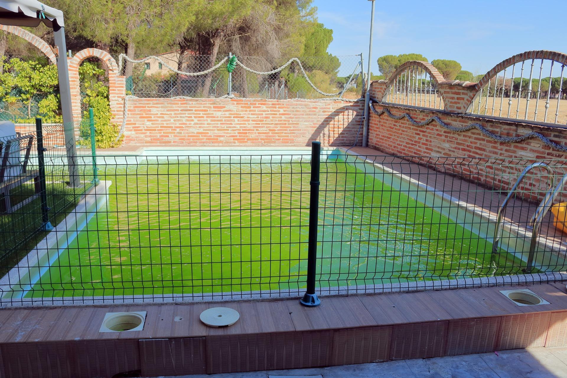 Casas o chalets-Venta-Aldeamayor de San MartÃ­n-1943197-Foto-61