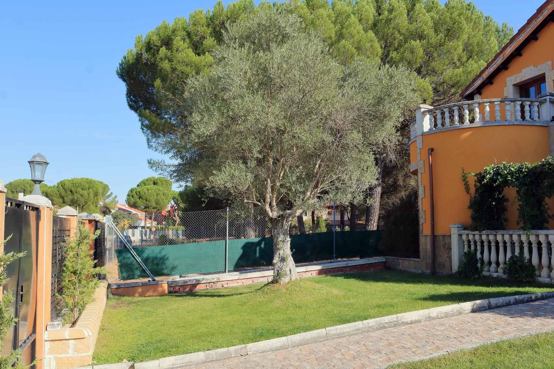 Casas o chalets-Venta-Aldeamayor de San MartÃ­n-1943197-Foto-67