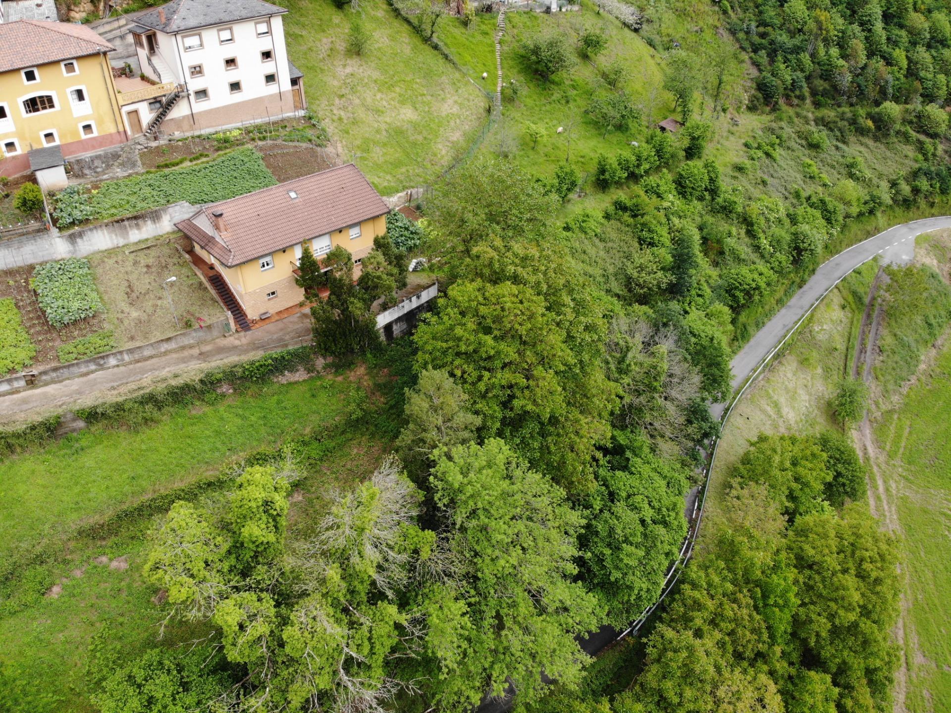 Casas o chalets-Venta-Tineo-1101887-Foto-53