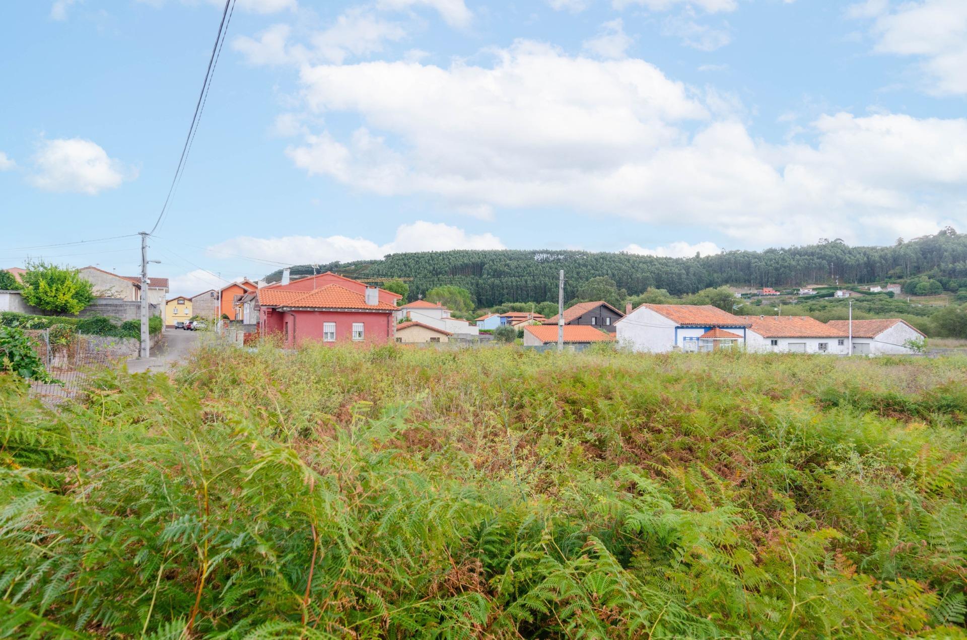 Fincas y solares-Venta-Soto del Barco-1838901-Foto-10