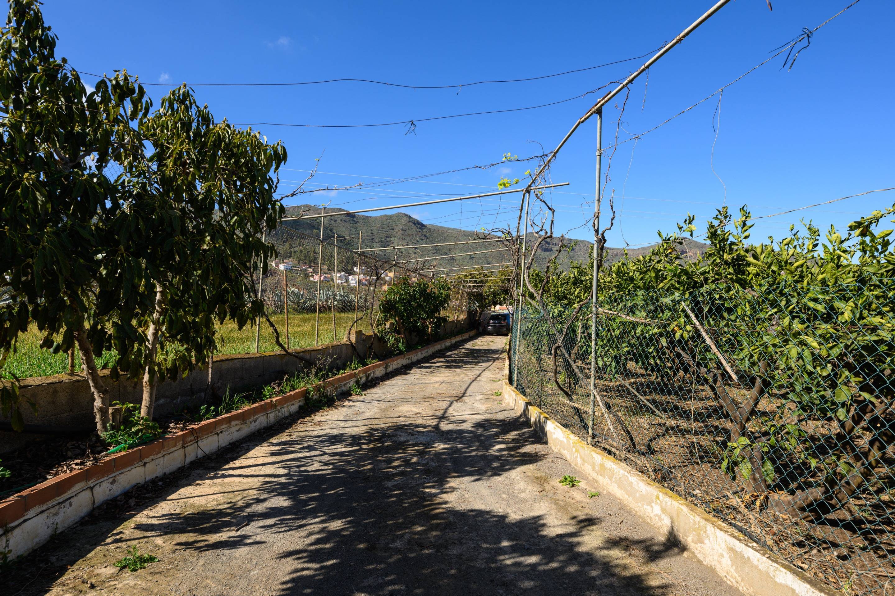 Casas o chalets-Venta-Valsequillo de Gran Canaria-1712795-Foto-2