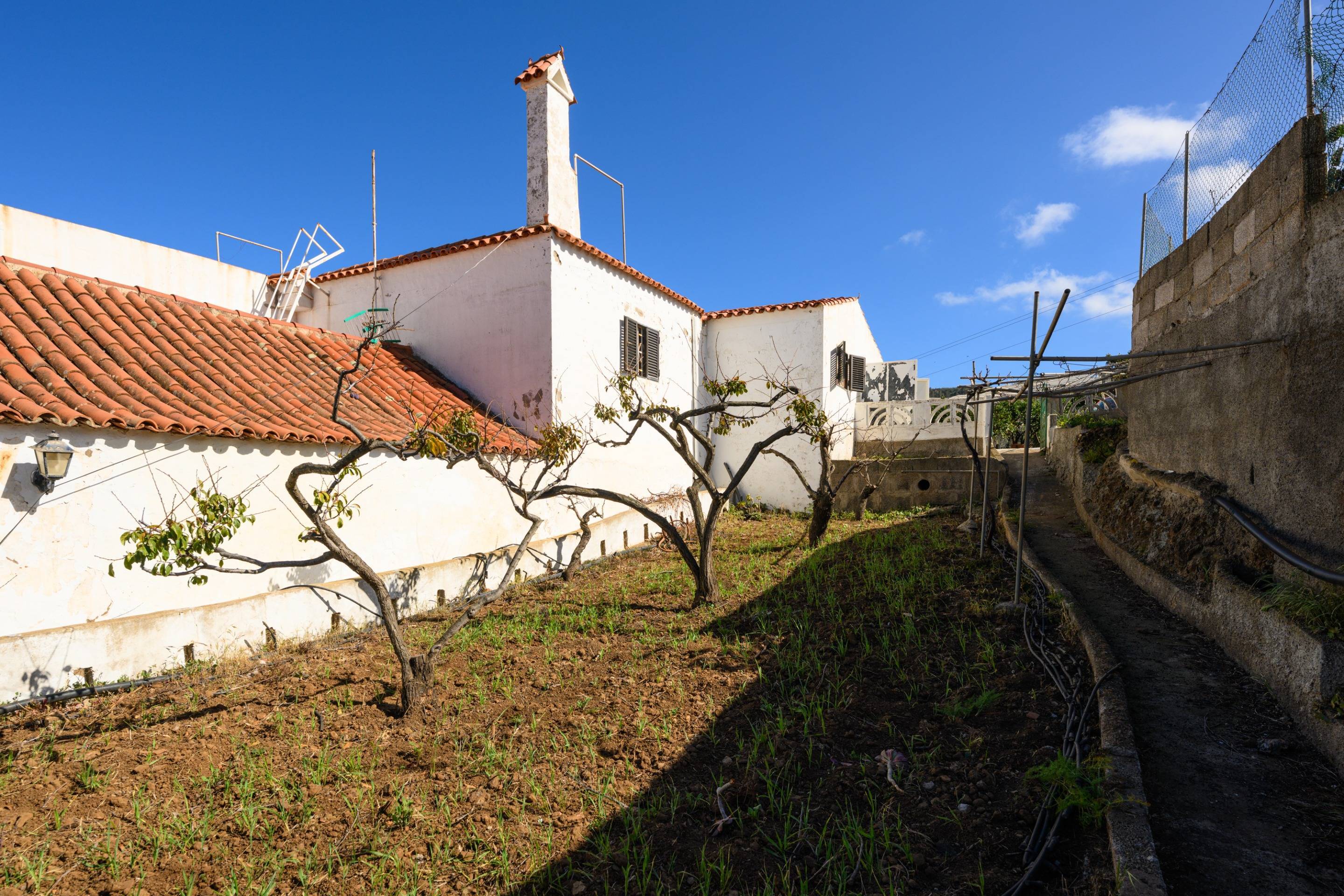 Casas o chalets-Venta-Valsequillo de Gran Canaria-1712795-Foto-5