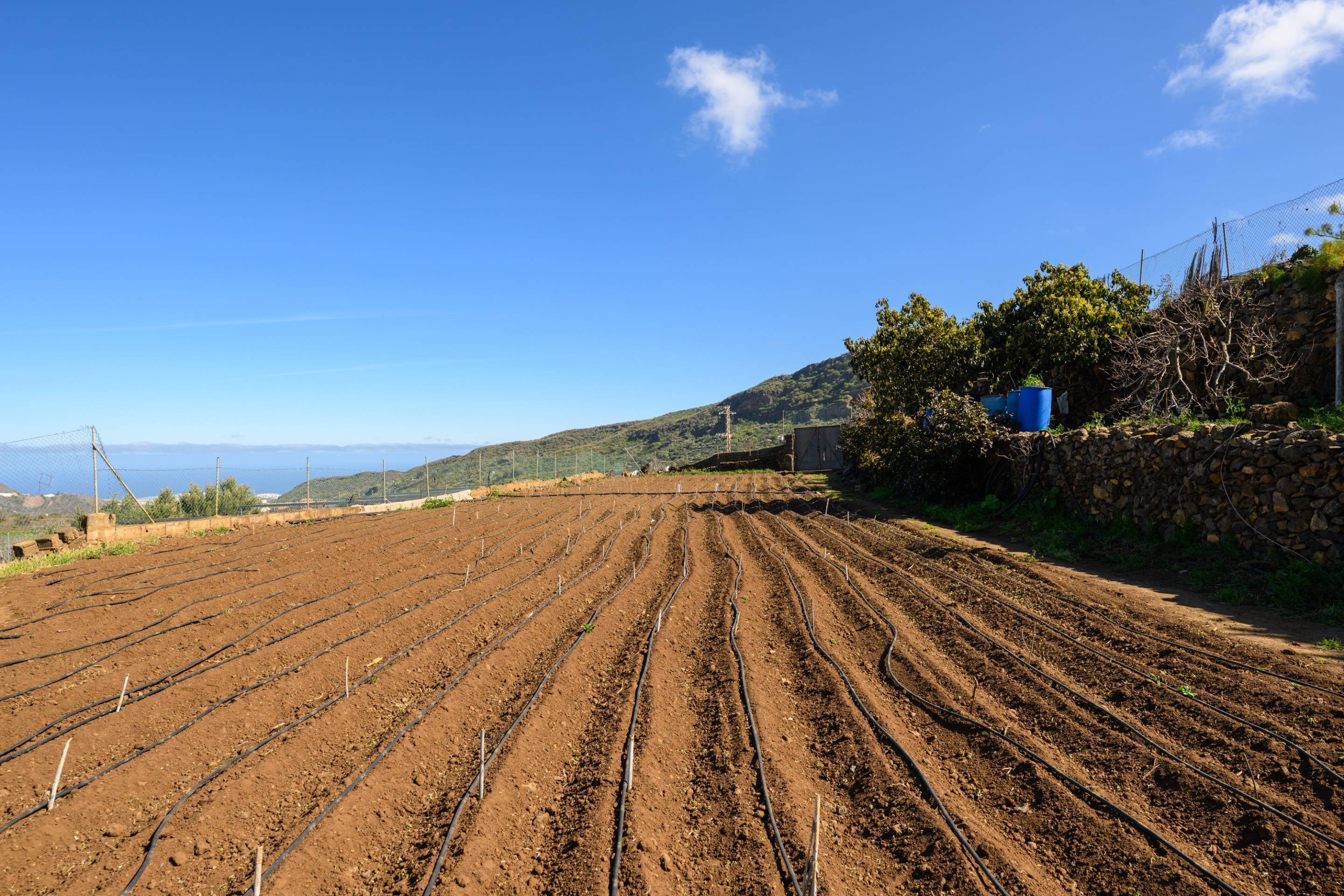 Casas o chalets-Venta-Valsequillo de Gran Canaria-1712795-Foto-3