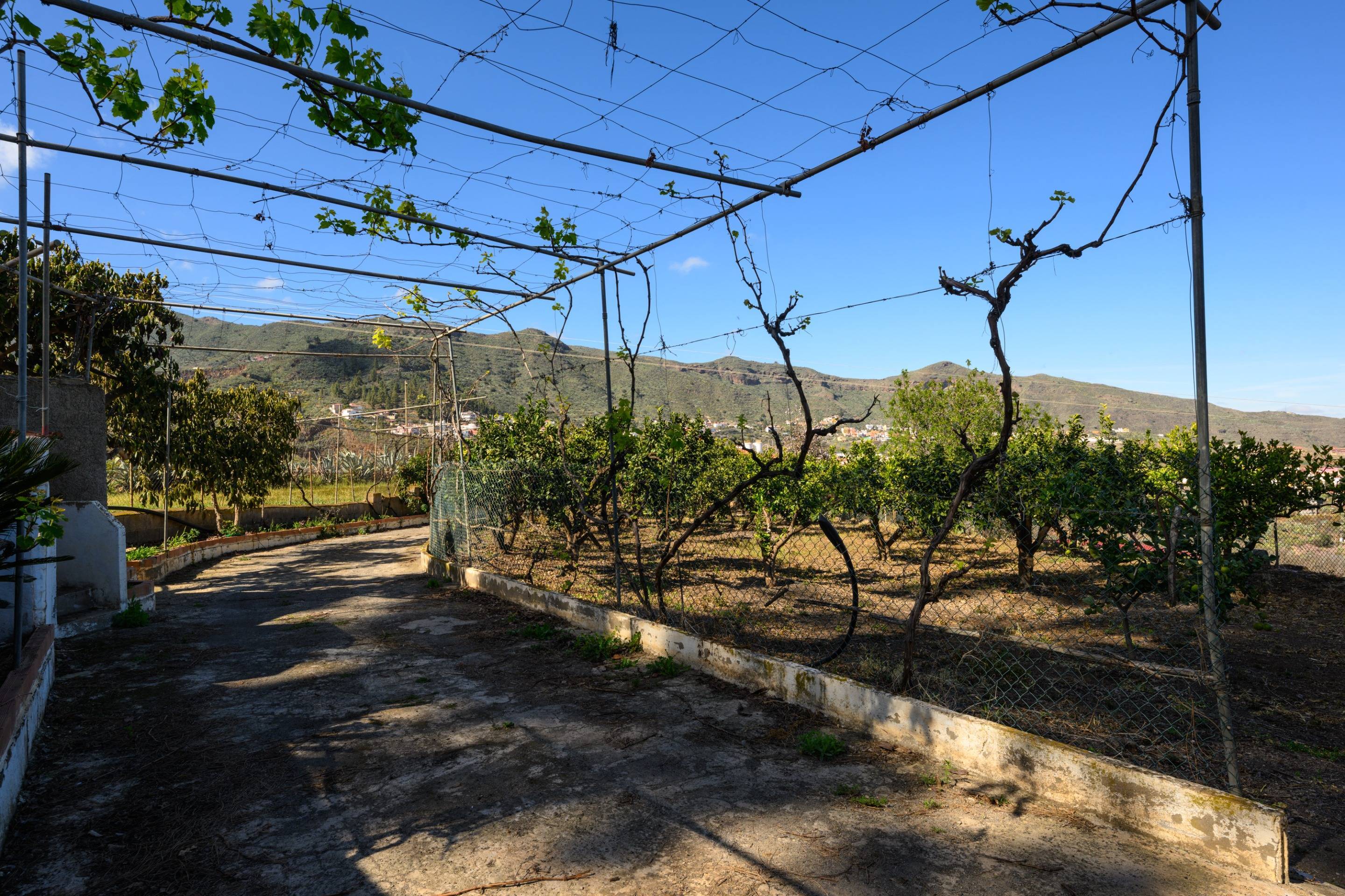 Casas o chalets-Venta-Valsequillo de Gran Canaria-1712795-Foto-8