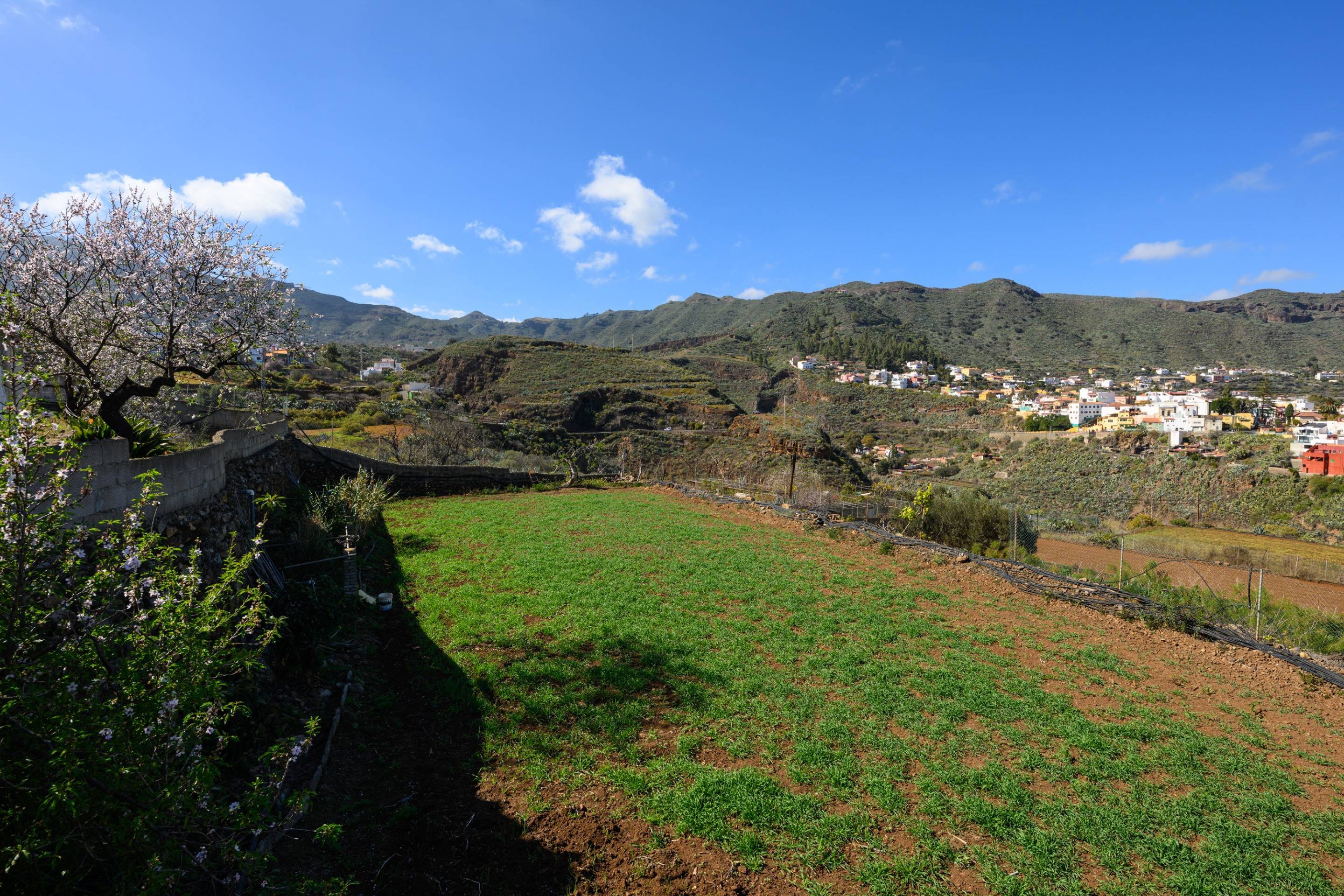 Casas o chalets-Venta-Valsequillo de Gran Canaria-1712795-Foto-7