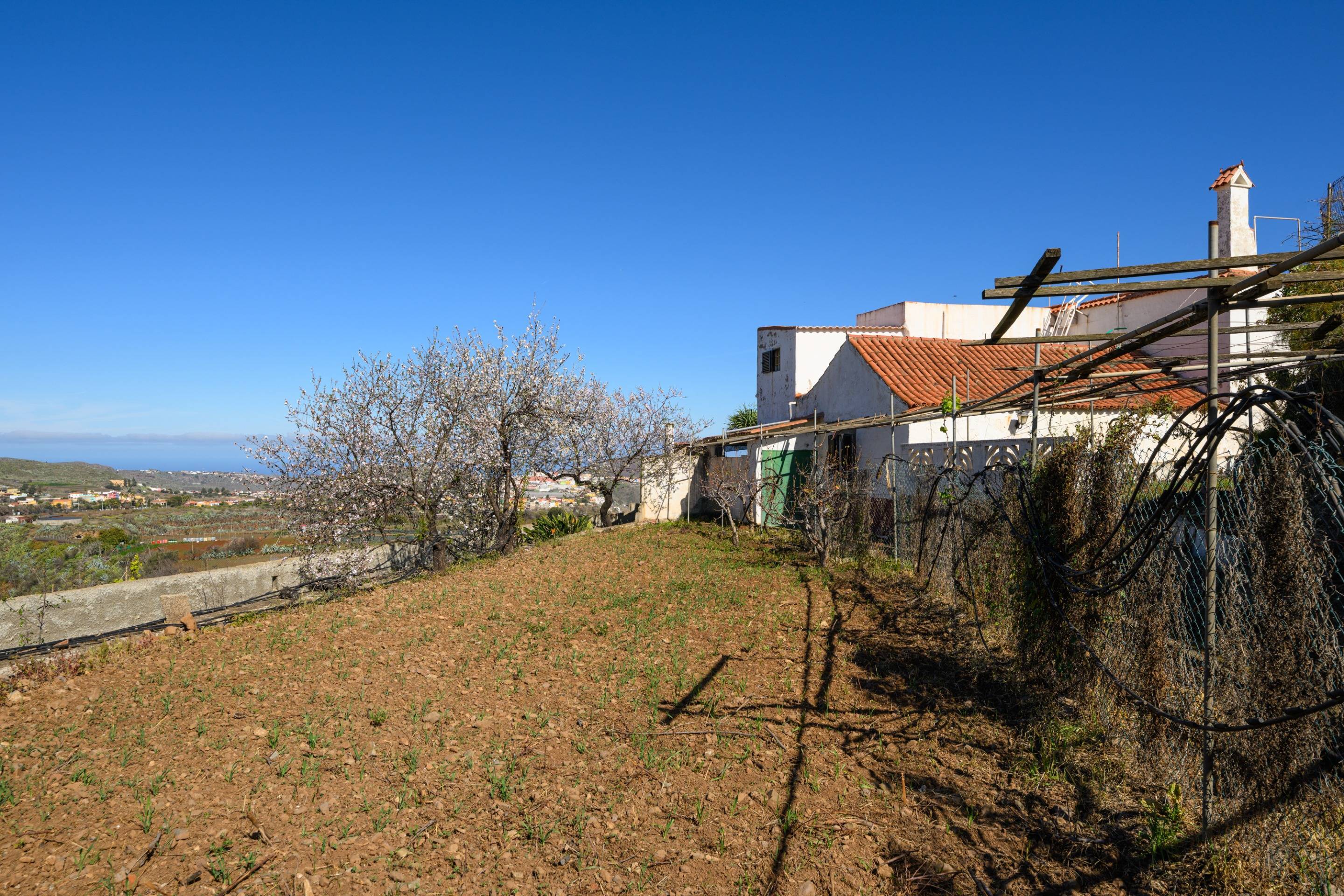 Casas o chalets-Venta-Valsequillo de Gran Canaria-1712795-Foto-45