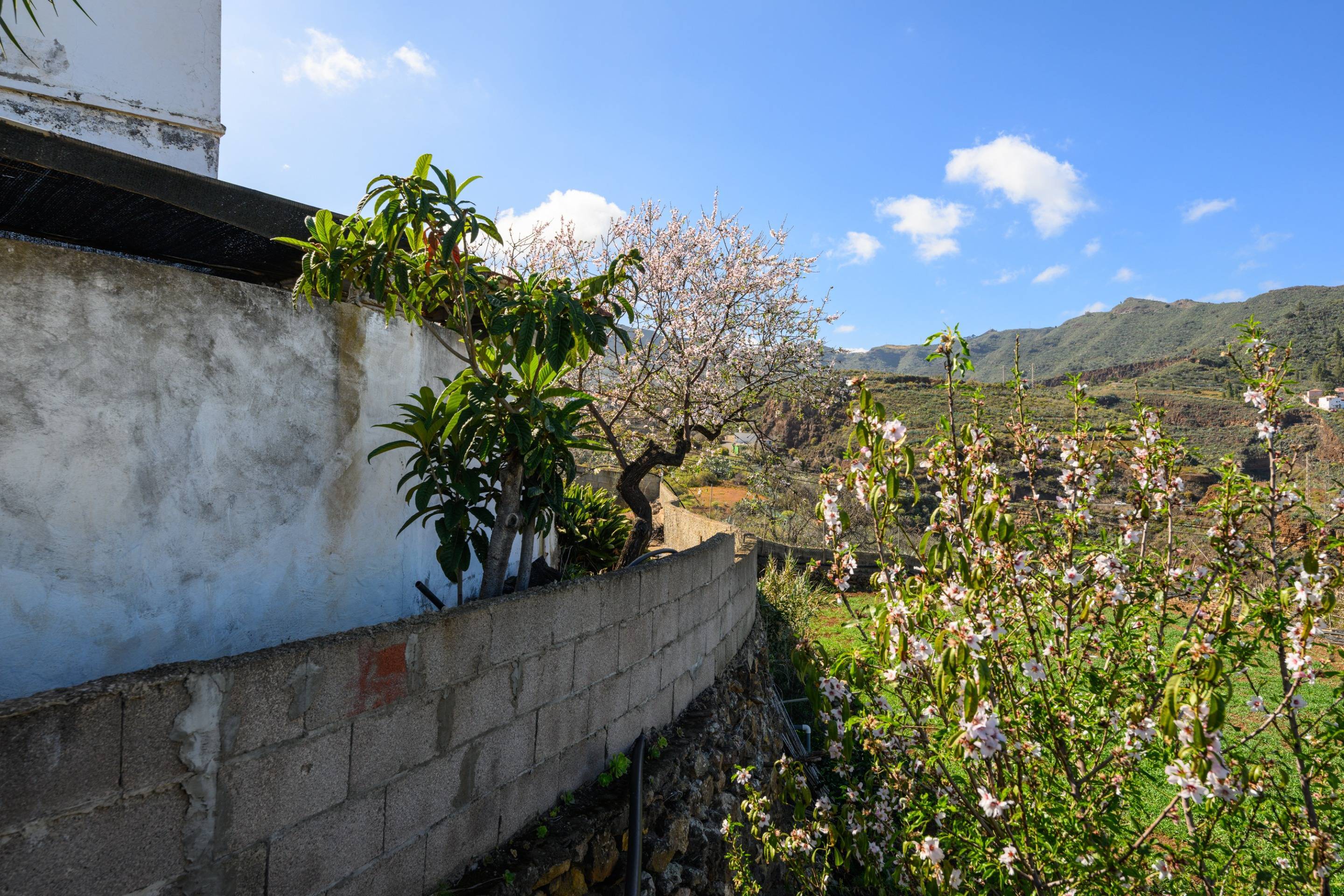 Casas o chalets-Venta-Valsequillo de Gran Canaria-1712795-Foto-48