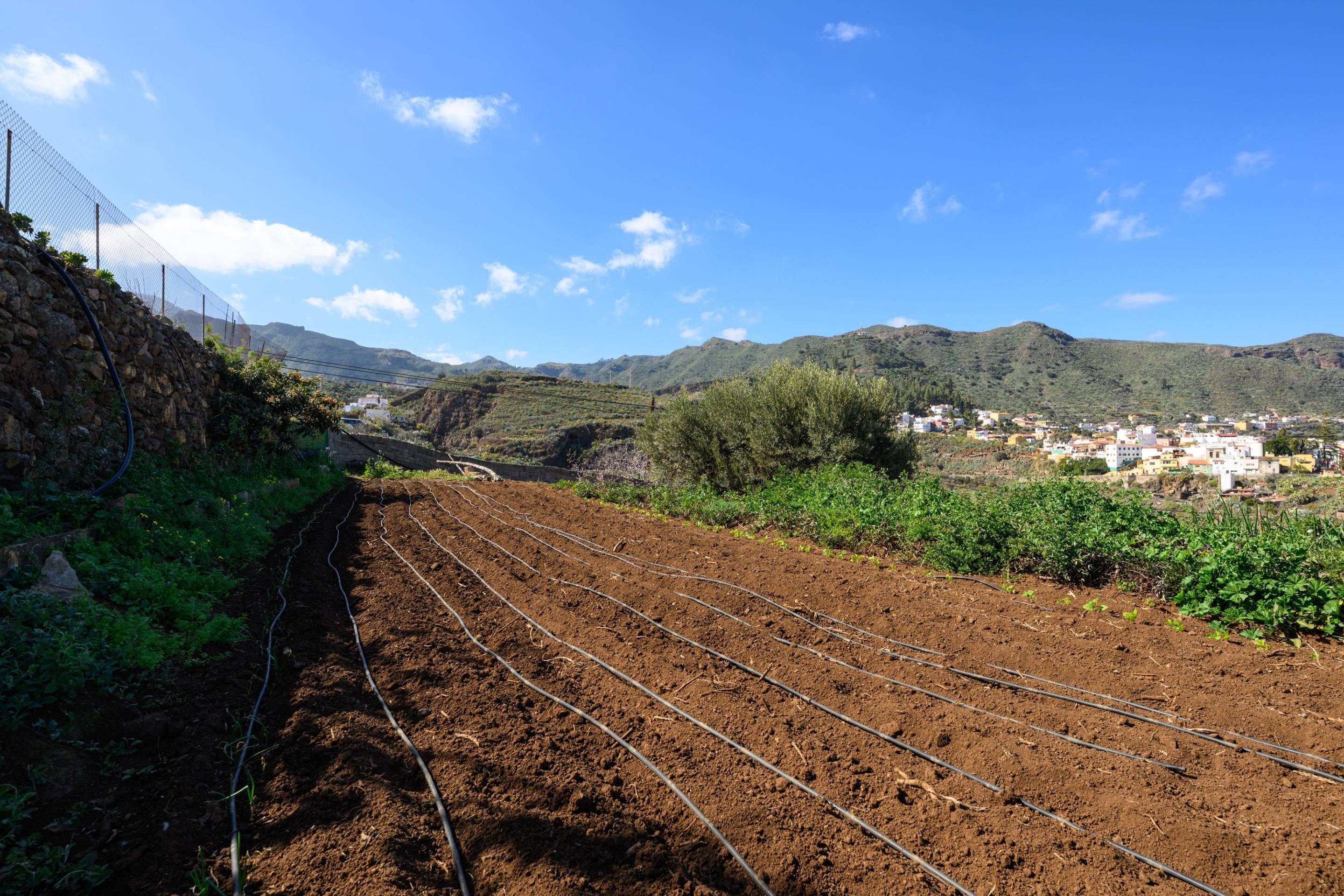 Casas o chalets-Venta-Valsequillo de Gran Canaria-1712795-Foto-47